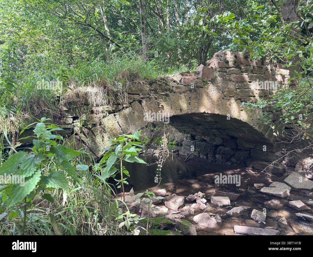 Piccolo e suggestivo ponte di pietra in fitti boschi su un dolce ruscello nell'East Lothian, catturato in un tranquillo ambiente naturale Foto Stock