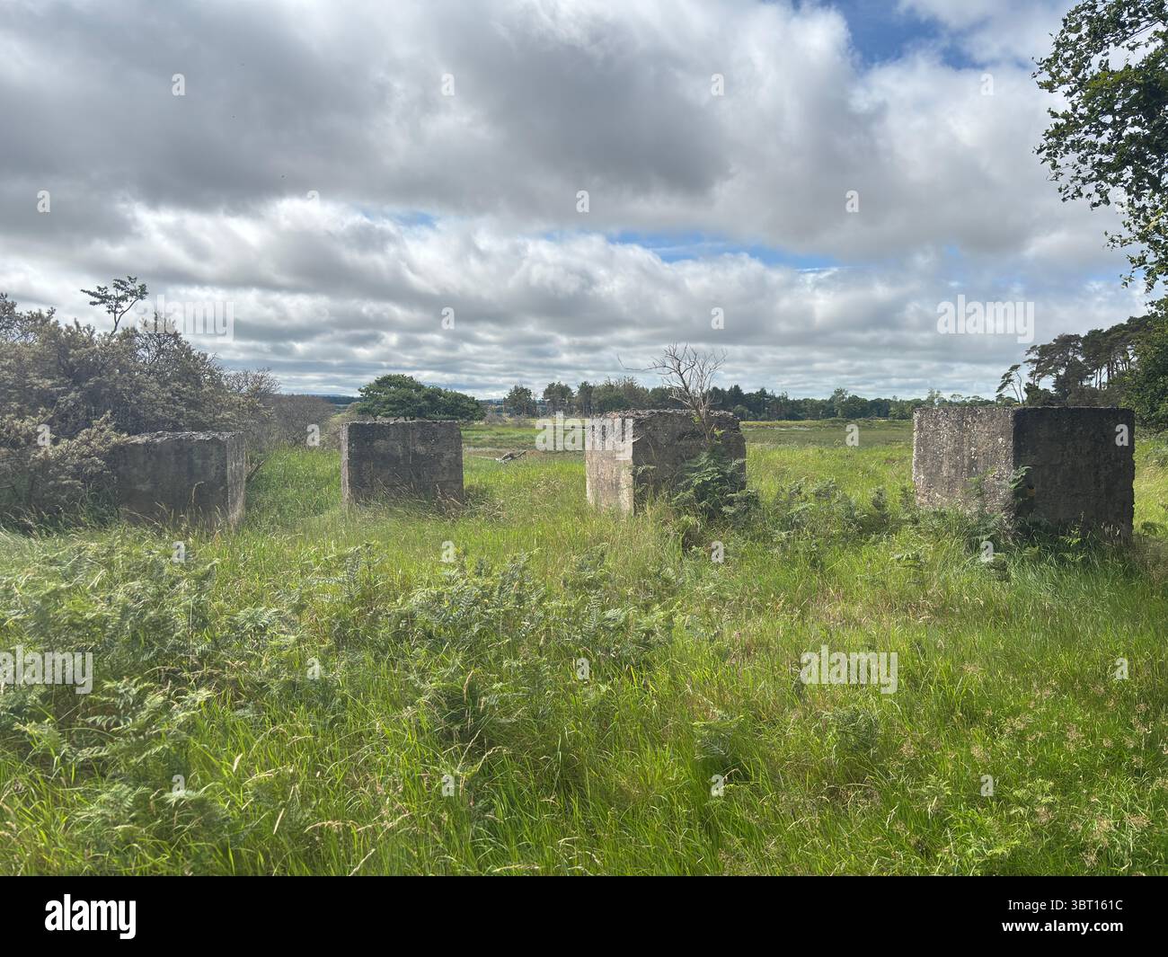Trappole per carri armati della seconda guerra mondiale nell'East Lothian, scoprendo storiche difese in cemento risalenti ai preparativi per l'invasione costiera in tempo di guerra Foto Stock