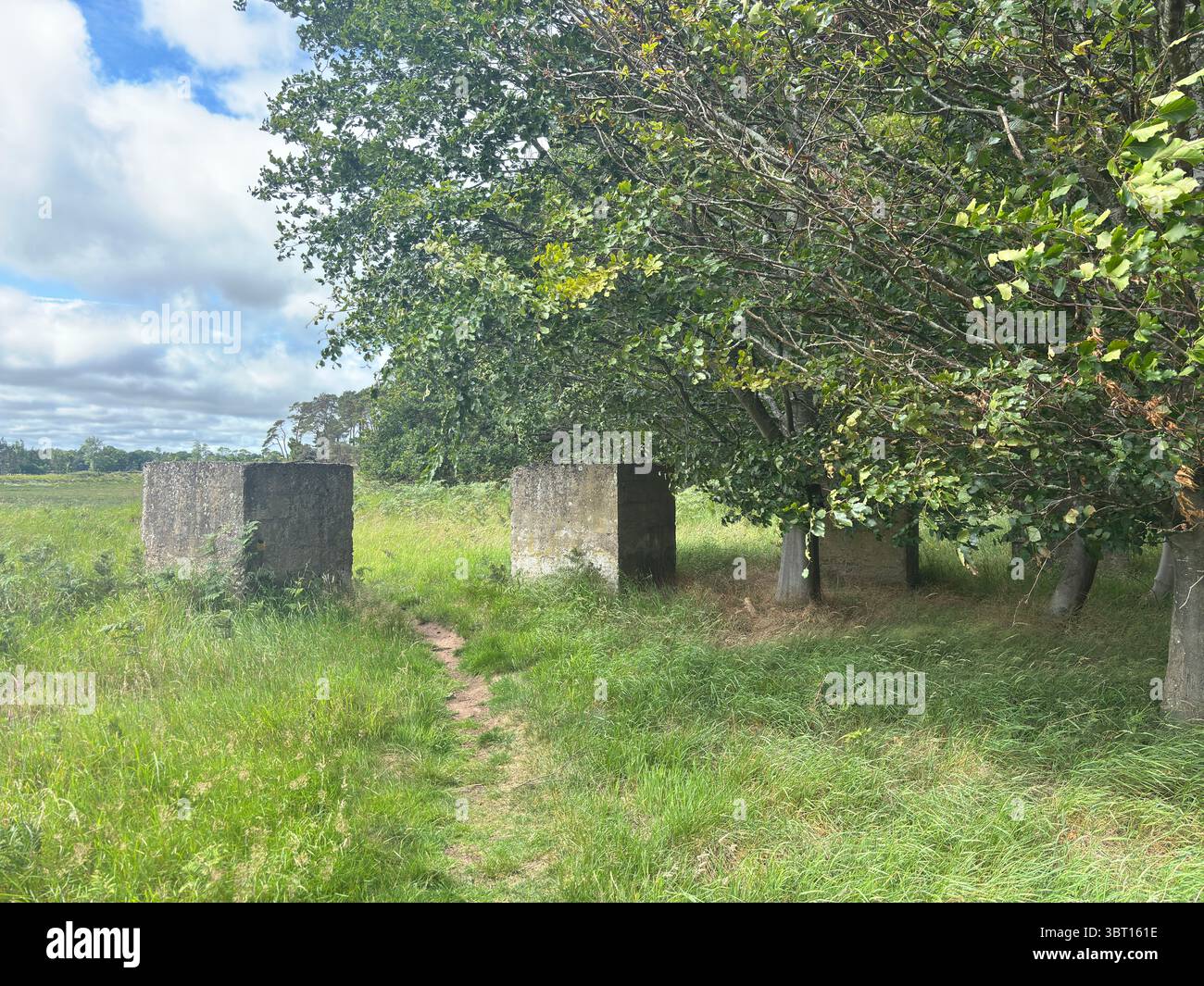 Trappole per carri armati della seconda guerra mondiale nell'East Lothian, scoprendo storiche difese in cemento risalenti ai preparativi per l'invasione costiera in tempo di guerra Foto Stock