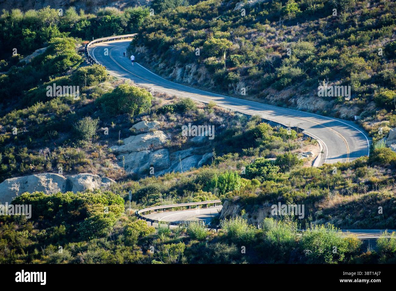 L'uomo cammina con il cane su Corral Canyon Road a Malibu, California. Foto Stock