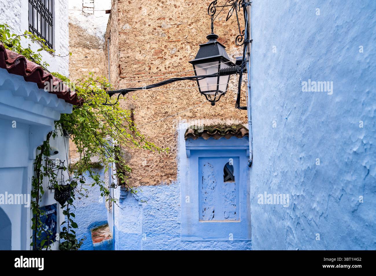 Chefchaouen, Marocco - 26 marzo 2024: I creepers crescono tra le strade blu di Chefchaouen in Marocco in una giornata nuvolosa Foto Stock