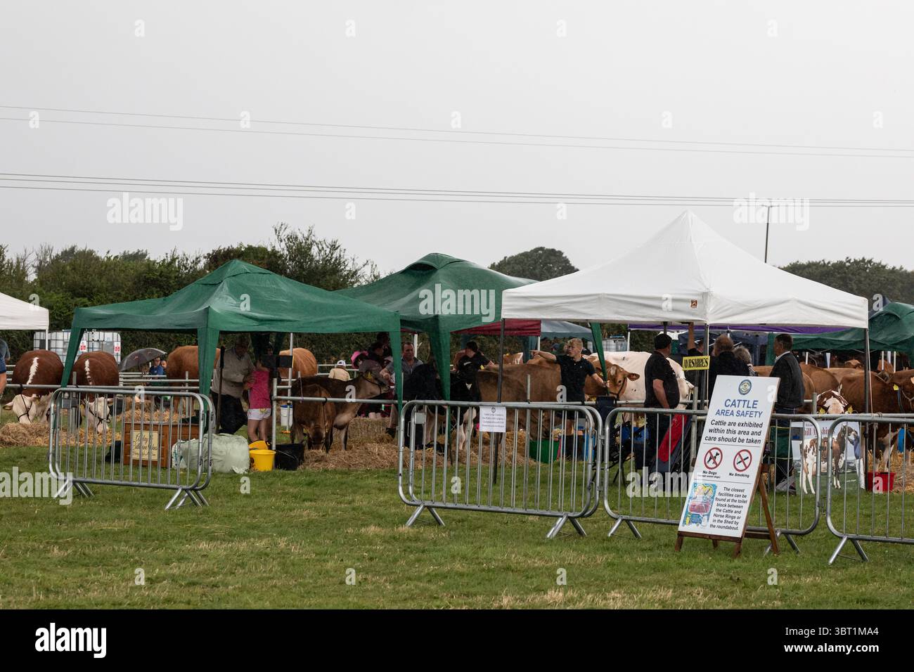 Stithians, Cornovaglia, Regno Unito. 14 luglio 2025. Lo spettacolo Stithians è andato avanti oggi nonostante le forti piogge. Il più grande spettacolo agricolo di un giorno della Cornovaglia, offre un assaggio tradizionale della vita rurale. Lo Stithians Show ha qualcosa per tutti: Mostre e dimostrazioni, animali, fiera, veicoli d'epoca, cibo e artigianato e una vasta scelta di negozi, dalle fiere e dai produttori locali. Crediti: Keith Larby/Alamy Live News Foto Stock