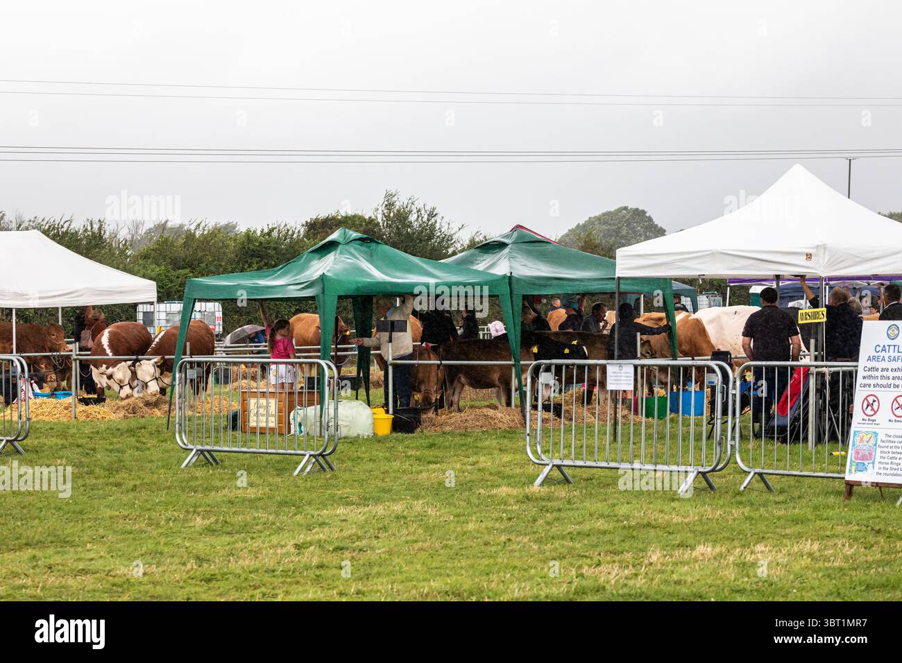Stithians, Cornovaglia, Regno Unito. 14 luglio 2025. Lo spettacolo Stithians è andato avanti oggi nonostante le forti piogge. Il più grande spettacolo agricolo di un giorno della Cornovaglia, offre un assaggio tradizionale della vita rurale. Lo Stithians Show ha qualcosa per tutti: Mostre e dimostrazioni, animali, fiera, veicoli d'epoca, cibo e artigianato e una vasta scelta di negozi, dalle fiere e dai produttori locali. Crediti: Keith Larby/Alamy Live News Foto Stock