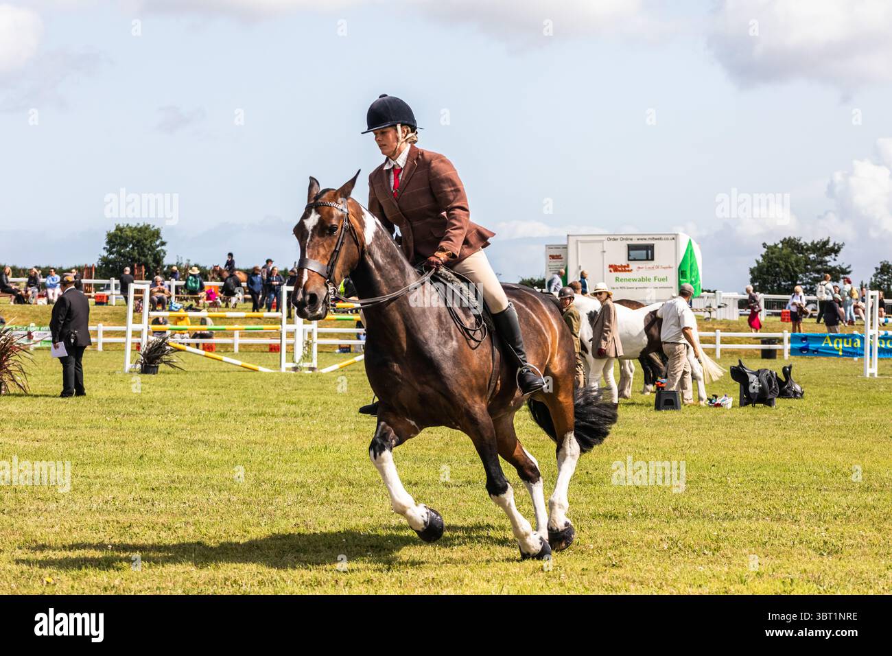 Stithians, Cornovaglia, Regno Unito. 14 luglio 2025. Lo spettacolo Stithians è andato avanti oggi nonostante le forti piogge. Il più grande spettacolo agricolo di un giorno della Cornovaglia, offre un assaggio tradizionale della vita rurale. Lo Stithians Show ha qualcosa per tutti: Mostre e dimostrazioni, animali, fiera, veicoli d'epoca, cibo e artigianato e una vasta scelta di negozi, dalle fiere e dai produttori locali. Crediti: Keith Larby/Alamy Live News Foto Stock