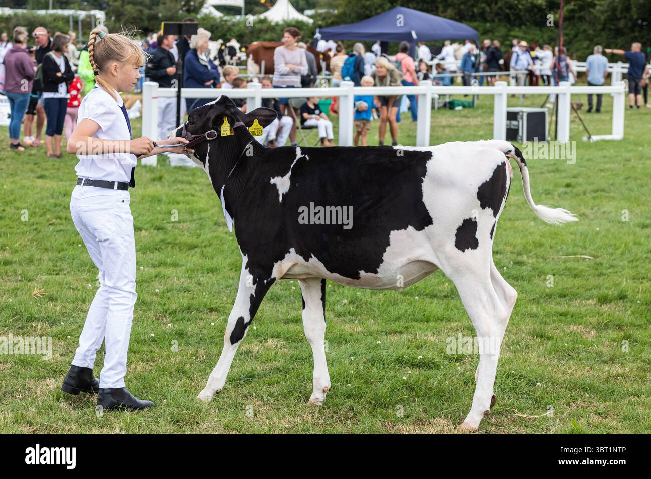 Stithians, Cornovaglia, Regno Unito. 14 luglio 2025. Lo spettacolo Stithians è andato avanti oggi nonostante le forti piogge. Il più grande spettacolo agricolo di un giorno della Cornovaglia, offre un assaggio tradizionale della vita rurale. Lo Stithians Show ha qualcosa per tutti: Mostre e dimostrazioni, animali, fiera, veicoli d'epoca, cibo e artigianato e una vasta scelta di negozi, dalle fiere e dai produttori locali. Crediti: Keith Larby/Alamy Live News Foto Stock