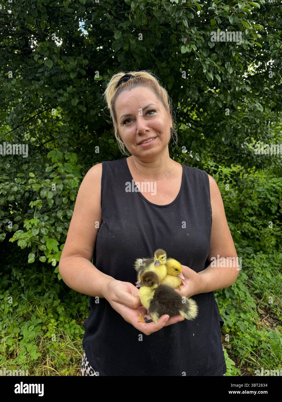 Una donna sorridente che tiene in mano piccoli anatroccoli. Foto Stock