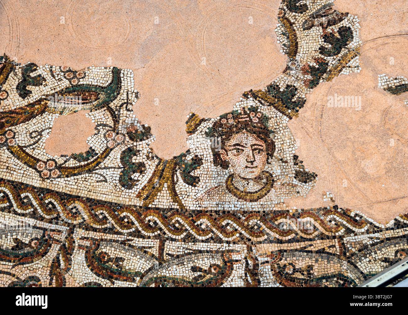 Pavimento in mosaico policromo paleocrimo risalente al IV secolo situato in via Canoniche, centro storico di Treviso, regione Veneto, Italia Foto Stock