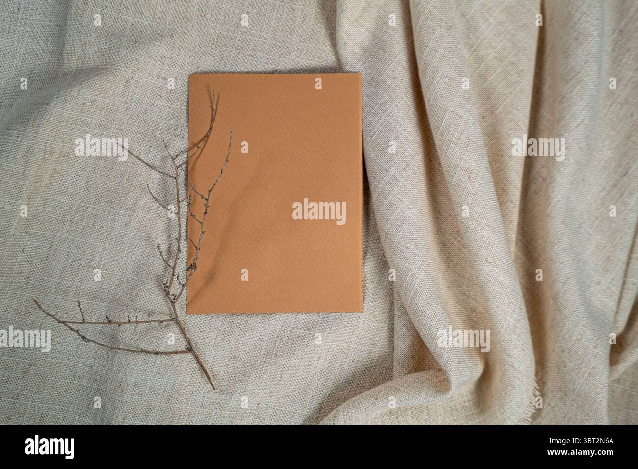 Mockup cartoncino di carta marrone minimalista con ramoscello essiccato su fondo in lino beige Foto Stock