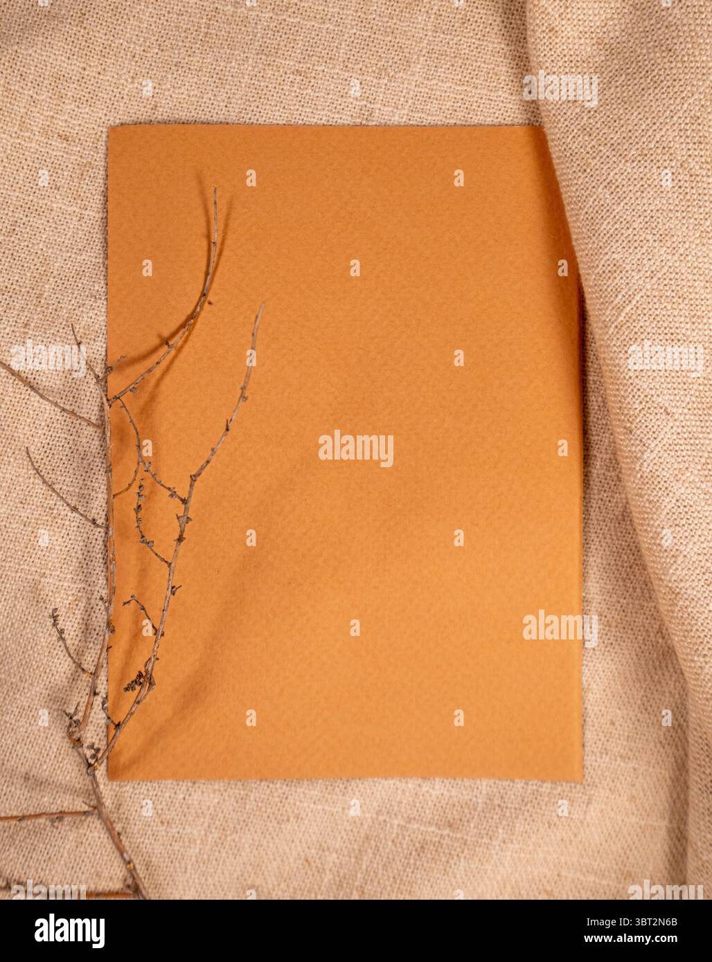 Mockup cartoncino di carta marrone minimalista con ramoscello essiccato su fondo in lino beige Foto Stock