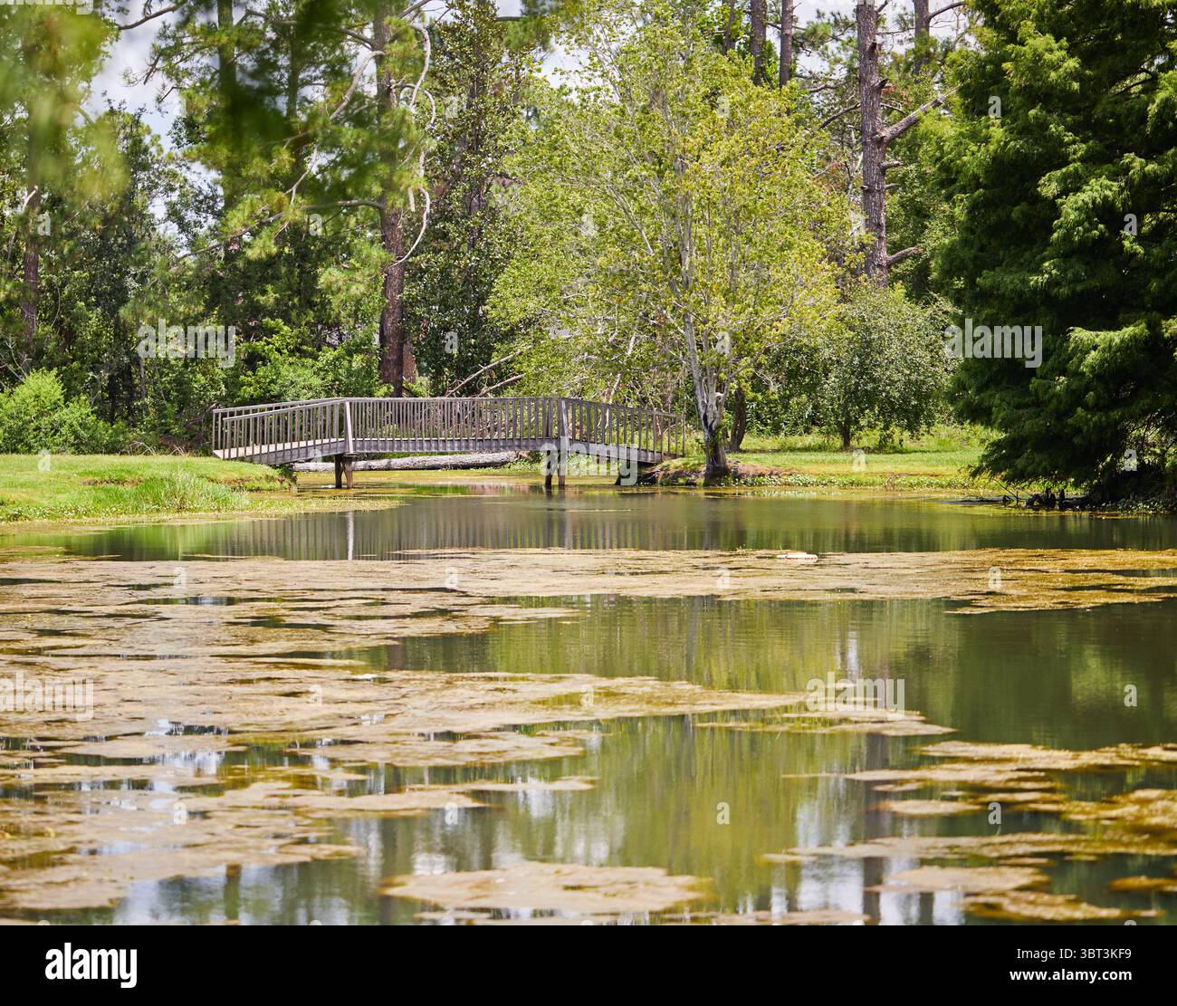 Central Park nella cittadina di Lakeland, Georgia USA, con un ponte ad arco sopra uno stagno, la bandiera degli Stati Uniti e un vecchio trattore internazionale! Foto Stock