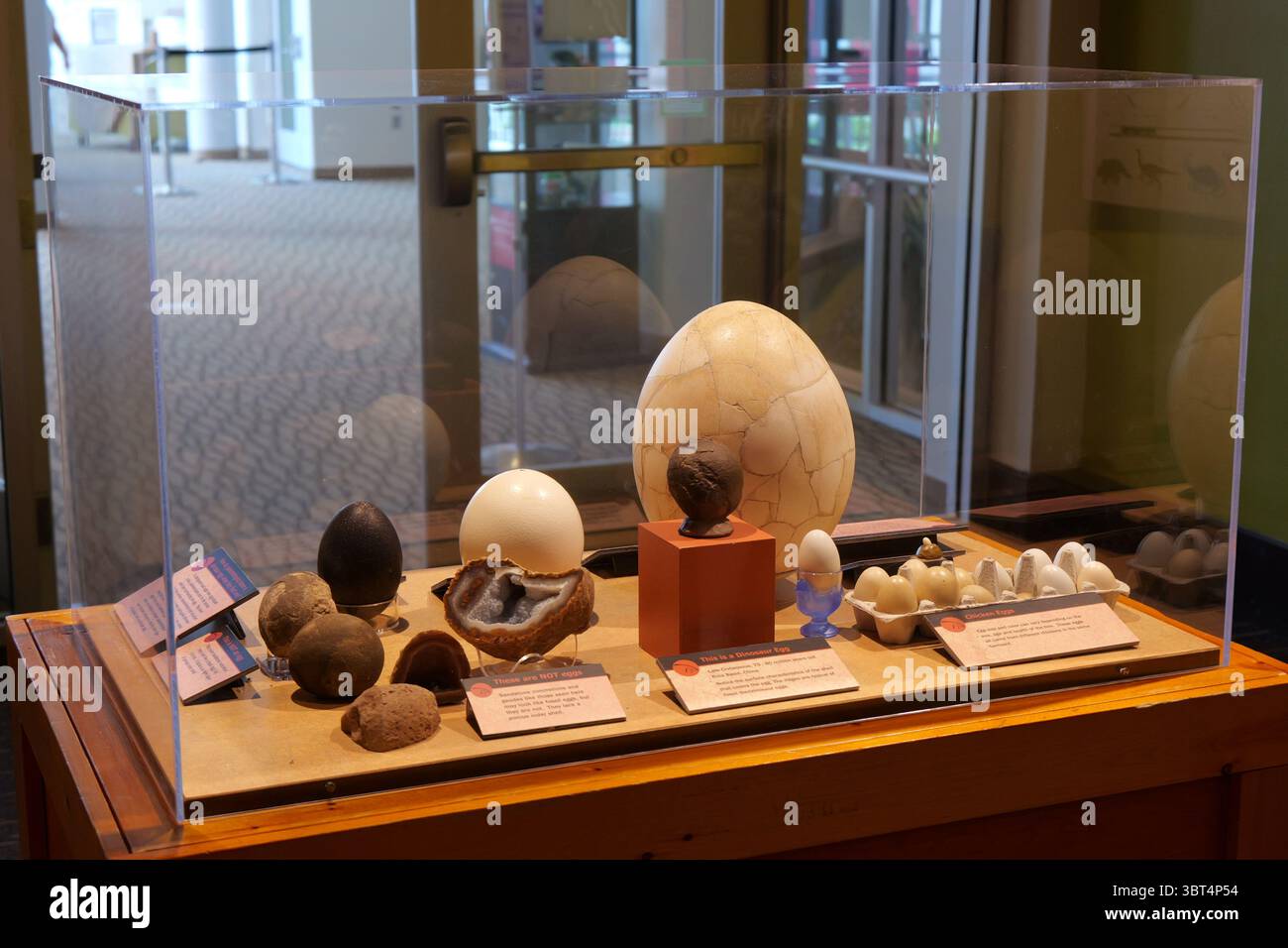 Manhattan, Kansas - 6 luglio 2025: Flint Hills Discovery Center Interactive Museum a Manhattan, Kansas Foto Stock