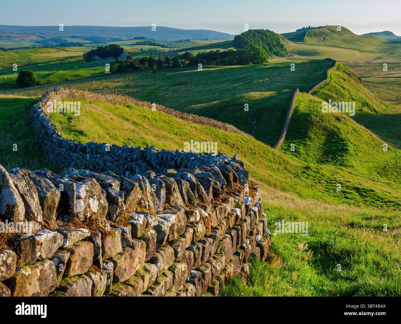 Goditi una serata estiva di sole sul Vallo di Adriano nel Parco Nazionale di Northumberland guardando verso ovest da Clew Hill verso il forte Housesteads Foto Stock