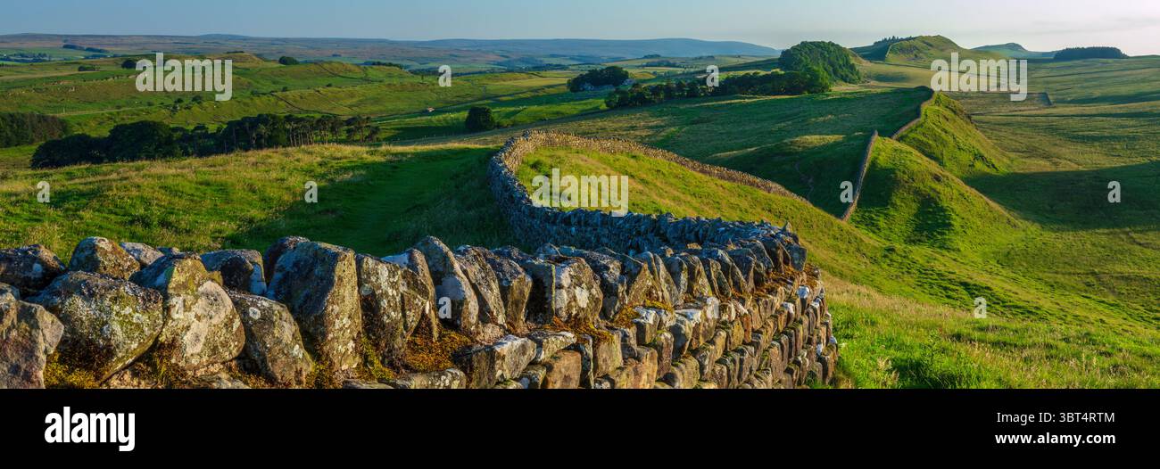 Goditi una serata estiva di sole sul Vallo di Adriano nel Parco Nazionale di Northumberland guardando verso ovest da Clew Hill verso il forte Housesteads Foto Stock