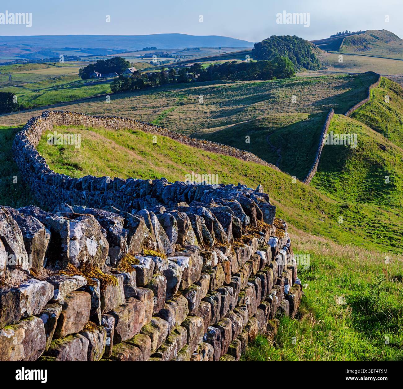 Goditi una serata estiva di sole sul Vallo di Adriano nel Parco Nazionale di Northumberland guardando verso ovest da Clew Hill verso il forte Housesteads Foto Stock
