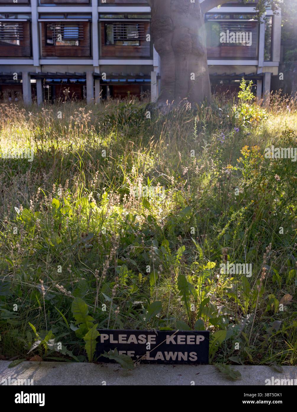 Cartello "Please keep off lawns", Kendrew Quadrangle, 2010, St John's College, Oxford, Inghilterra, Regno Unito Foto Stock