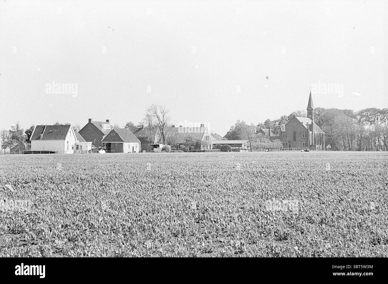 Report Village Ruigoord Report, Whizgle News, Dutch Desk, Paesi Bassi, 1950 - 2000 il 23-05-1967. L'immagine include questi argomenti. La scena cattura un tranquillo paesaggio rurale, caratterizzato da un'ampia distesa di campi coltivati che si estendono verso l'orizzonte. Il primo piano è dominato da una lussureggiante coltura verde, che lascia intendere l'abbondanza della terra. Sullo sfondo si erge un gruppo di strutture pittoresche che che mostrano un mix di stili architettonici. A sinistra, ci sono un paio di semplici case a un piano, i loro tetti inclinano dolcemente verso il basso. Queste case sono dipinte in tenui colori pastello, Foto Stock