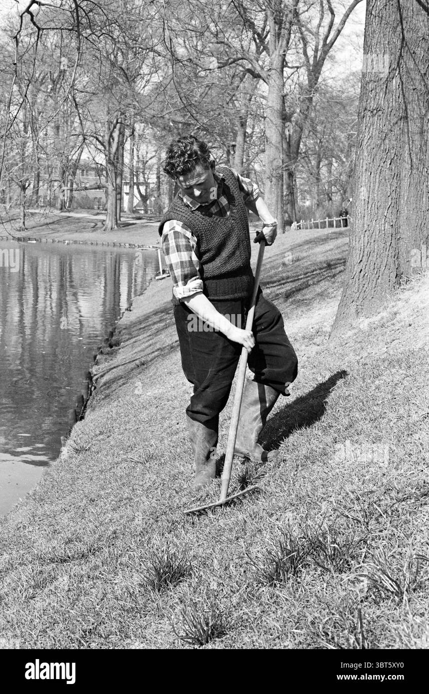 Lago di approvvigionamento idrico nelle dune natura, Whizgle News, Dutch Desk, Paesi Bassi, 1950 - 2000 il 29-03-1965. Questi sono gli elementi dell'immagine. In un ambiente all'aperto sereno, una persona è impegnata nel giardinaggio lungo il bordo di un corpo d'acqua calmo e riflettente. L'individuo è vestito con un abbigliamento robusto e pratico, tra cui un gilet su una camicia a motivi geometrici, e pantaloni scuri che suggeriscono un approccio pratico al proprio compito. Indossano stivali di gomma alti, adatti per lavorare in condizioni umide. Lo sfondo presenta un lussureggiante paesaggio verde, con macchie d'erba circondate dalla luce soffusa di un overc Foto Stock
