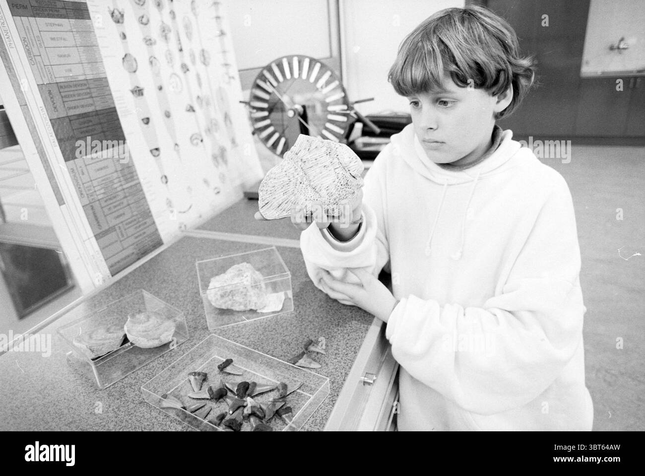 Boris Beijer with Fossils Teyler Mus., Whizgle News, Dutch Desk, Paesi Bassi, 1950 - 2000 il 09-03-1997. L'immagine include questi argomenti. In una stanza illuminata con un'atmosfera sterile e un po' silenziosa, un giovane si appoggia su un tavolo, esaminando intensamente un grande esemplare di roccia tenuto in mano. Il soggetto è vestito con un indumento bianco morbido, oversize che contrasta con le tonalità più scure della superficie del tavolo. La loro espressione riflette la curiosità e la concentrazione, attirando l'attenzione sulla roccia, che appare strutturata e intricata. Intorno all'individuo, varie geologiche Foto Stock