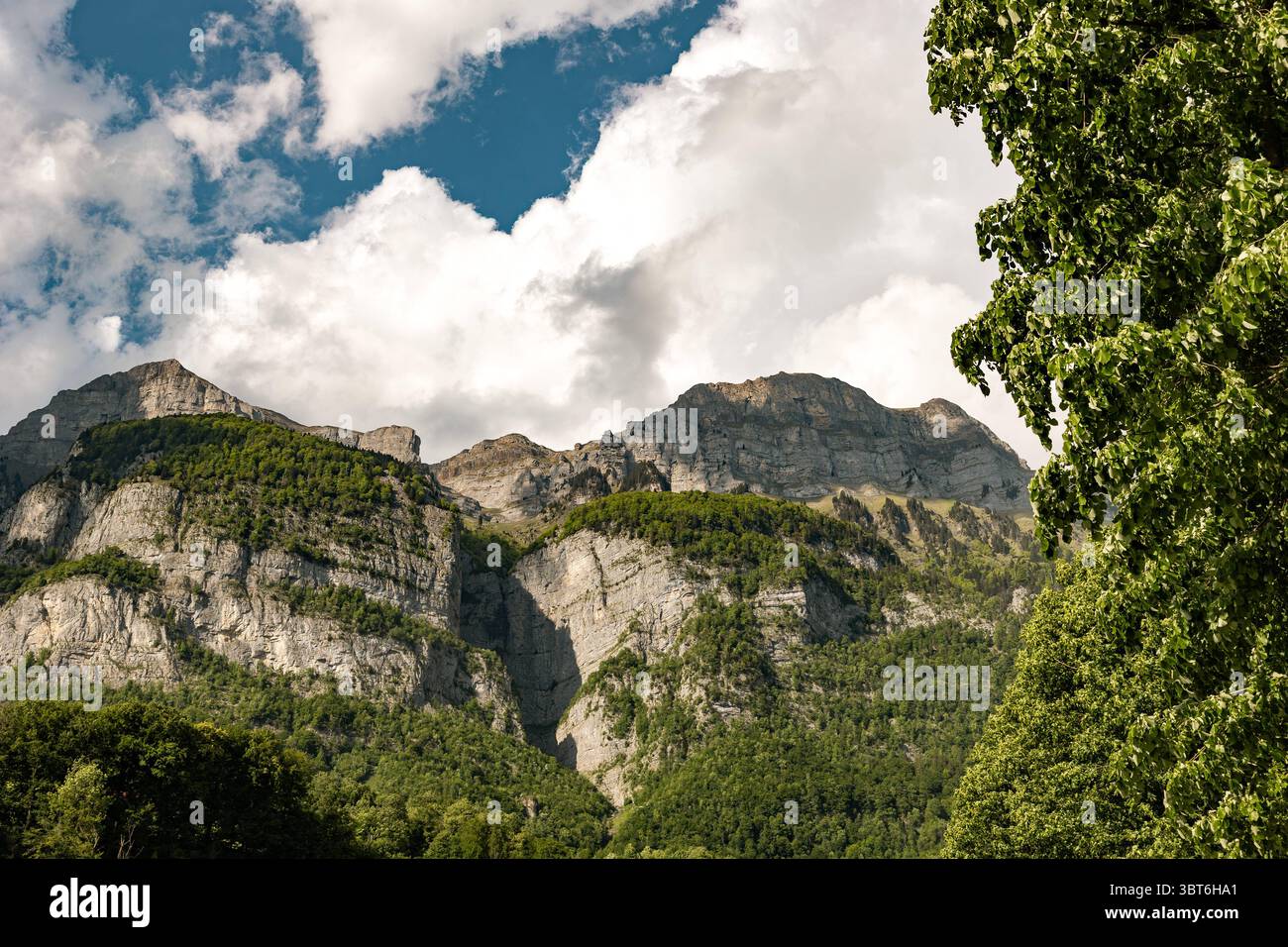 Picco di montagna con alberi, Svizzera, Cantone San Gallo, Alpi svizzere. Picco montano con alberi, Svizzera, Cantone San Gallo, Alpi svizzere, estate 2025. Giorno di sole, nuvole, catena montuosa. Escursioni, turismo, destinazione turistica, svago. svizzera B97A8419 Foto Stock