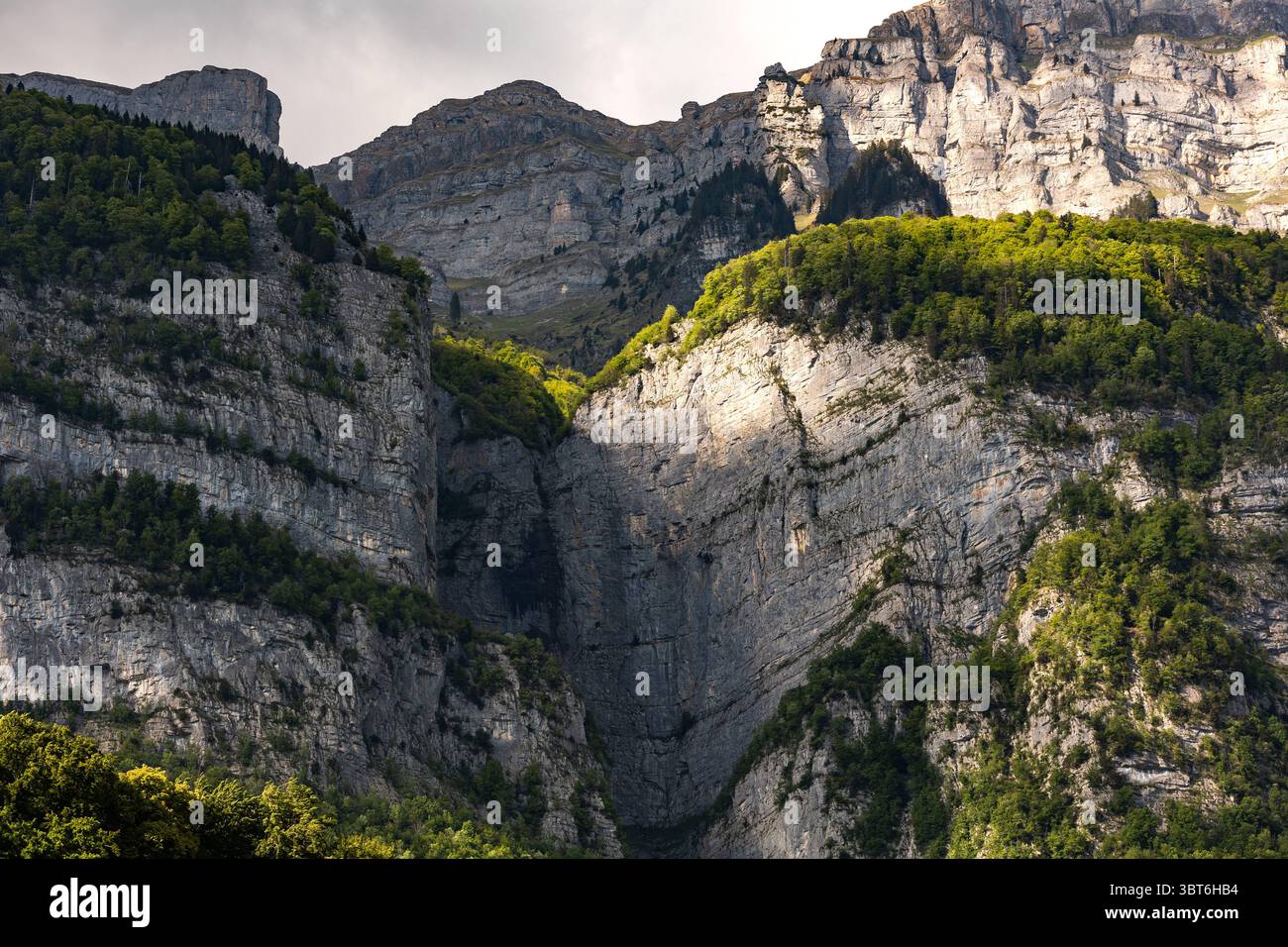 Picco montano con alberi, Svizzera, Cantone San Gallo, Alpi svizzere, montagne di Frümsel. Catena montuosa con alberi, Svizzera, Cantone San Gallo, Alpi svizzere, montagne di Frümsel. Sole, nuvole, escursioni, turismo, destinazione di viaggio, attività ricreative. svizzera B97A8435 Foto Stock