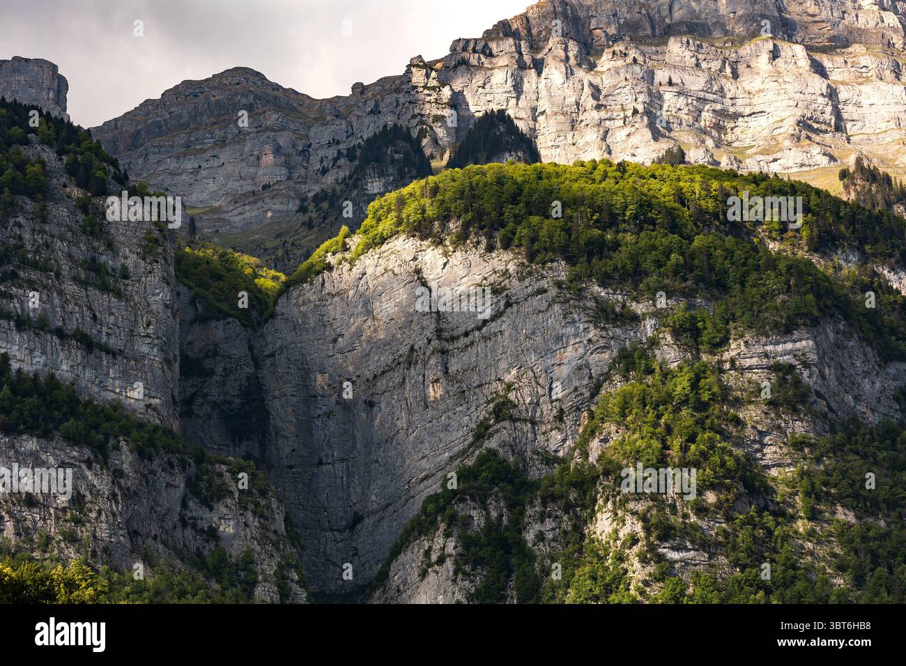 Picco montano con alberi, Svizzera, Cantone San Gallo, Alpi svizzere, montagne di Frümsel. Picco montano con alberi, Svizzera, Cantone San Gallo, Alpi svizzere, montagne di Frümsel. Giorno di sole, nuvole, catena montuosa. Escursioni, turismo, destinazione turistica, svago. svizzera B97A8436 Foto Stock