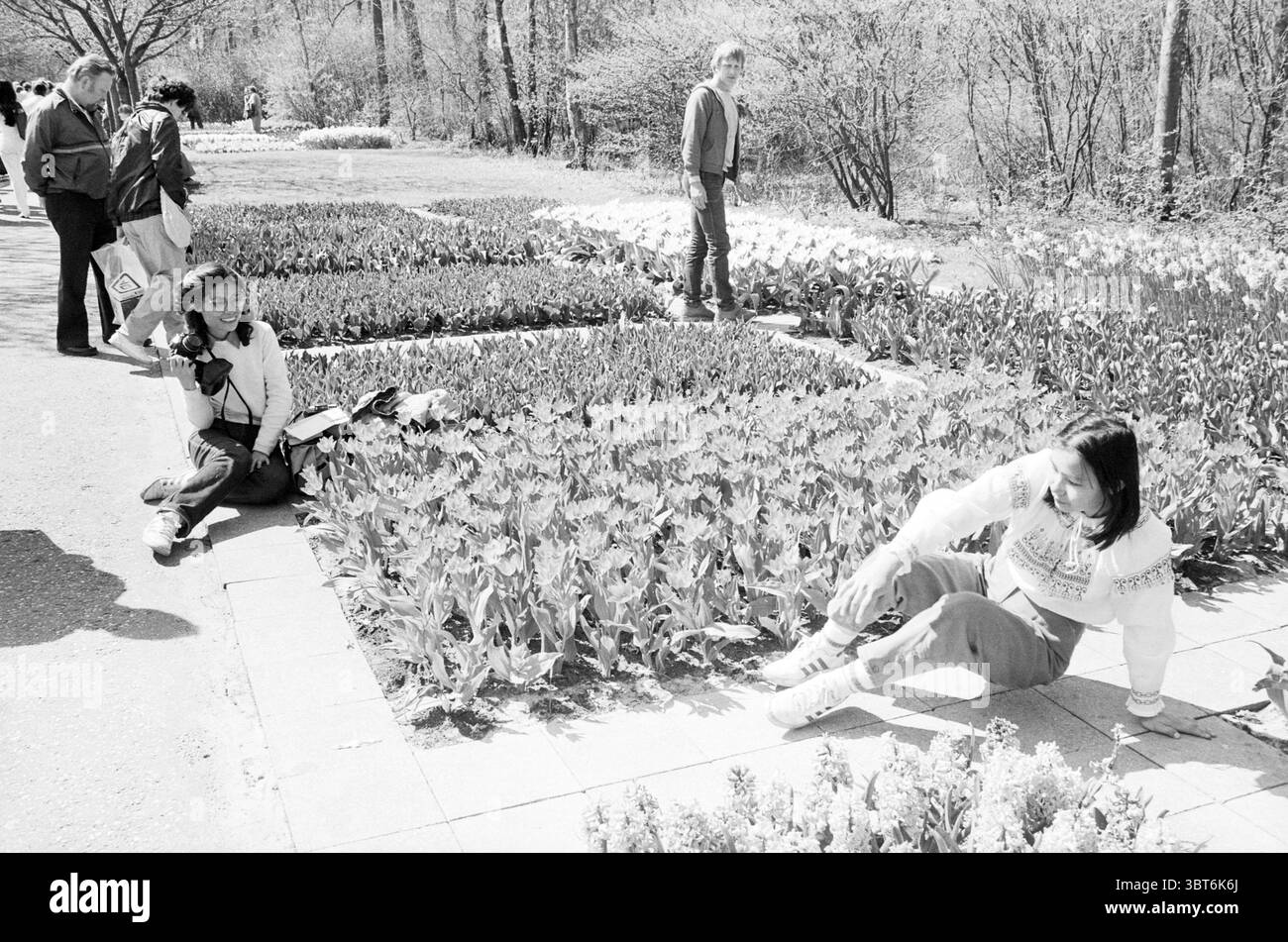 Keukenhof pieno di persone tenuta della Fondazione Keukenhof a Lisse, Whizgle News, Dutch Desk, Paesi Bassi, 1950 - 2000 il 21-04-1984. Questi argomenti sono mostrati nell'immagine. La scena raffigura una vivace area all'aperto, caratterizzata da un'abbondanza di tulipani, le loro varie sfumature che vanno dai gialli tenui ai rossi profondi. Le file di fiori creano un arazzo strutturato e floreale che attira l'attenzione, mostrando la bellezza della natura. In primo piano, due individui sono impegnati nella mostra floreale. Una persona, seduta a terra, sta sbirciando attraverso una telecamera, concentrandosi intensamente sull'acquisizione dell'essenza della B. Foto Stock
