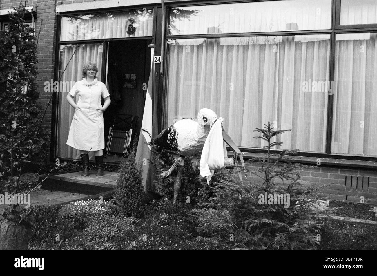 Cicogna in giardino a causa della nascita del bambino, Whizgle News, Dutch Desk, Paesi Bassi, 1950 - 2000 il 16-04-1985. L'immagine mostra questi argomenti. In un ambiente periferico, una donna si trova con fiducia all'ingresso di una casa modesta. Ha una blusa di colore chiaro e una gonna che suggerisce un aspetto casual ma ordinato. La casa è dotata di una grande finestra con tende trasparenti, che consente di dare un'occhiata all'interno creando una luce soffusa e diffusa nella scena. A sinistra della donna, c'è una figura di cicogna prominente, che cattura l'attenzione con il suo impressionante schema di colori bianco e nero. Questo capriccio Foto Stock