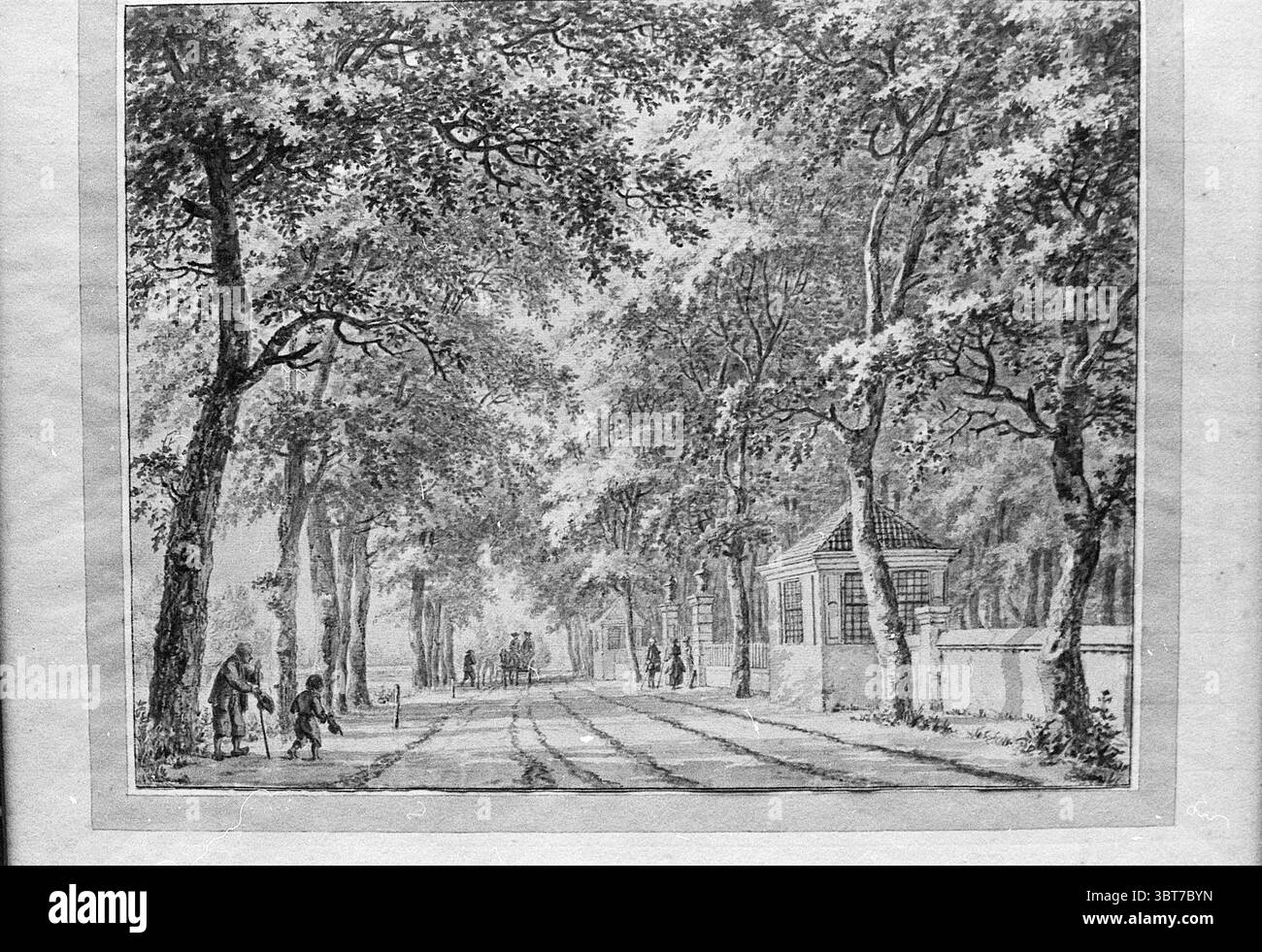 Disegno a penna di alberi e carrozza, Whizgle News, Dutch Desk, Paesi Bassi, 1950 - 2000. L'immagine include questi argomenti. La scena raffigura un tranquillo viale alberato che invita a un senso di tranquillità e nostalgia. Alti alberi con lussureggiante arco fogliame sopra il sentiero, i loro rami formano un baldacchino naturale. Le foglie sono renderizzate in varie tonalità di verde, suggerendo un filtraggio della luce solare attenuata, che crea un gioco di luce e ombra sul terreno sottostante. Su entrambi i lati del viale, un basso muro decorativo separa il percorso da una tranquilla e curata terra Foto Stock