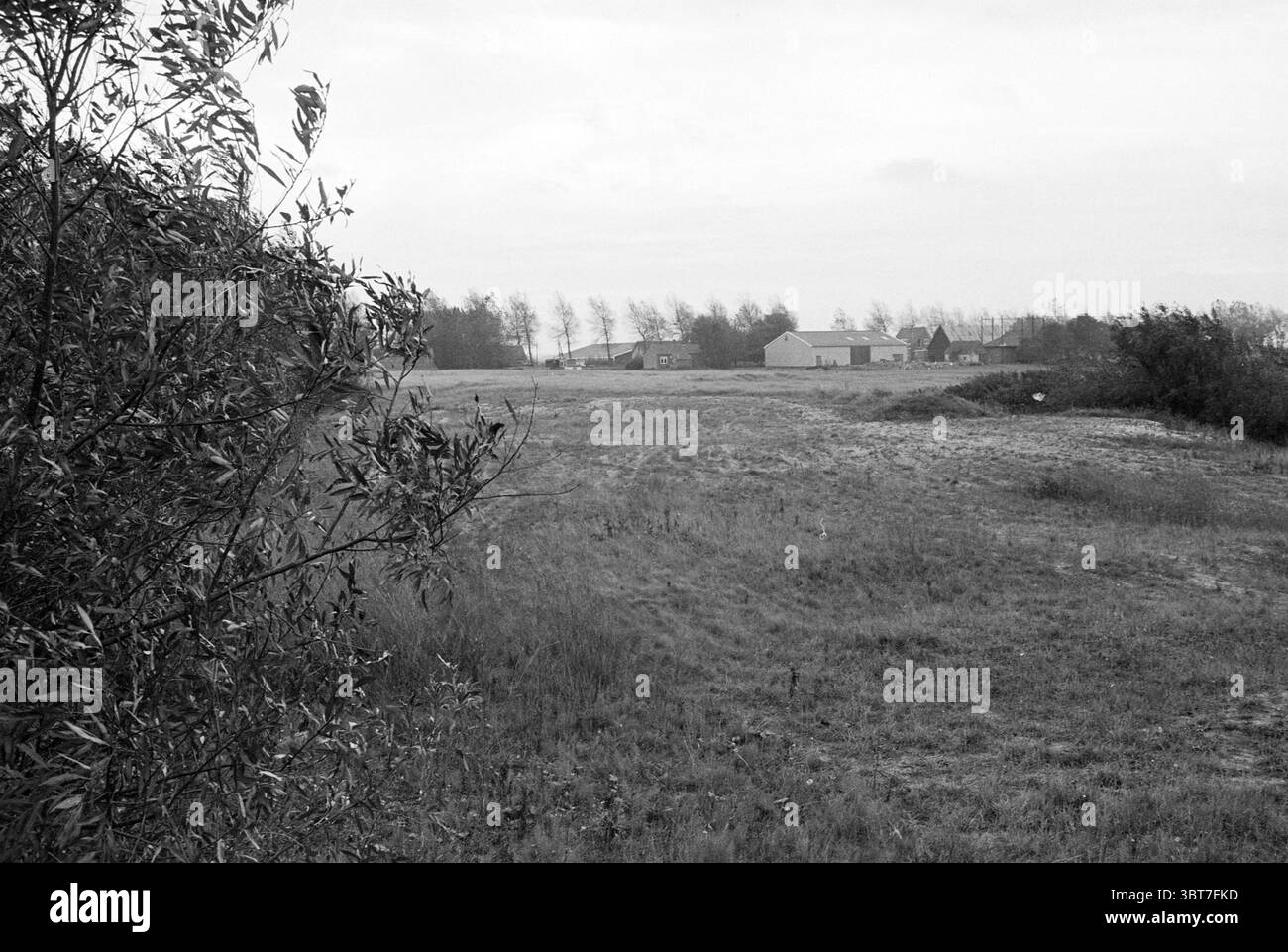 Guarda fino al campo con fattoria sullo sfondo, Whizgle News, Dutch Desk, Paesi Bassi, 1950 - 2000 il 10-1978. Questi argomenti vengono visualizzati nell'immagine. La scena presenta un paesaggio tranquillo caratterizzato da un ampio campo aperto che si estende in lontananza. Il campo è dominato da sfumature sfumate di grigio e marrone, che riflettono un giorno coperto. L'erba alta ondeggia dolcemente in primo piano, intervallata da macchie di terra che mettono in risalto la struttura naturale della terra. All'orizzonte si può vedere un gruppo di strutture semplici, probabilmente appartenenti a un ambiente rurale. Questi edifici, resi Foto Stock