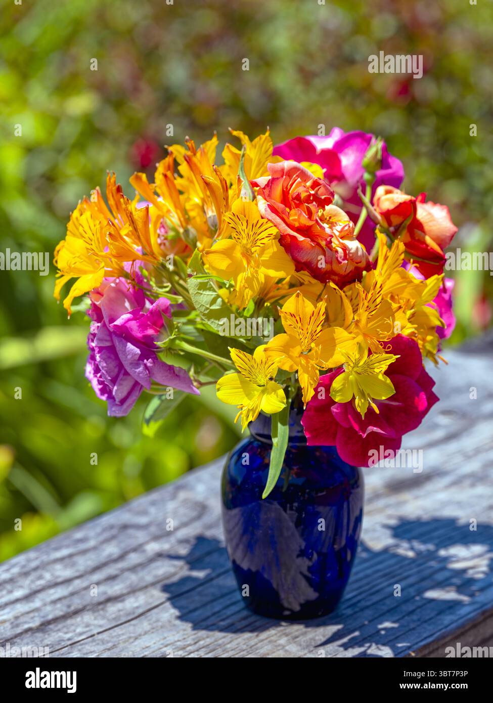 Fiori fioriti disposti in un vaso sul patio Foto Stock