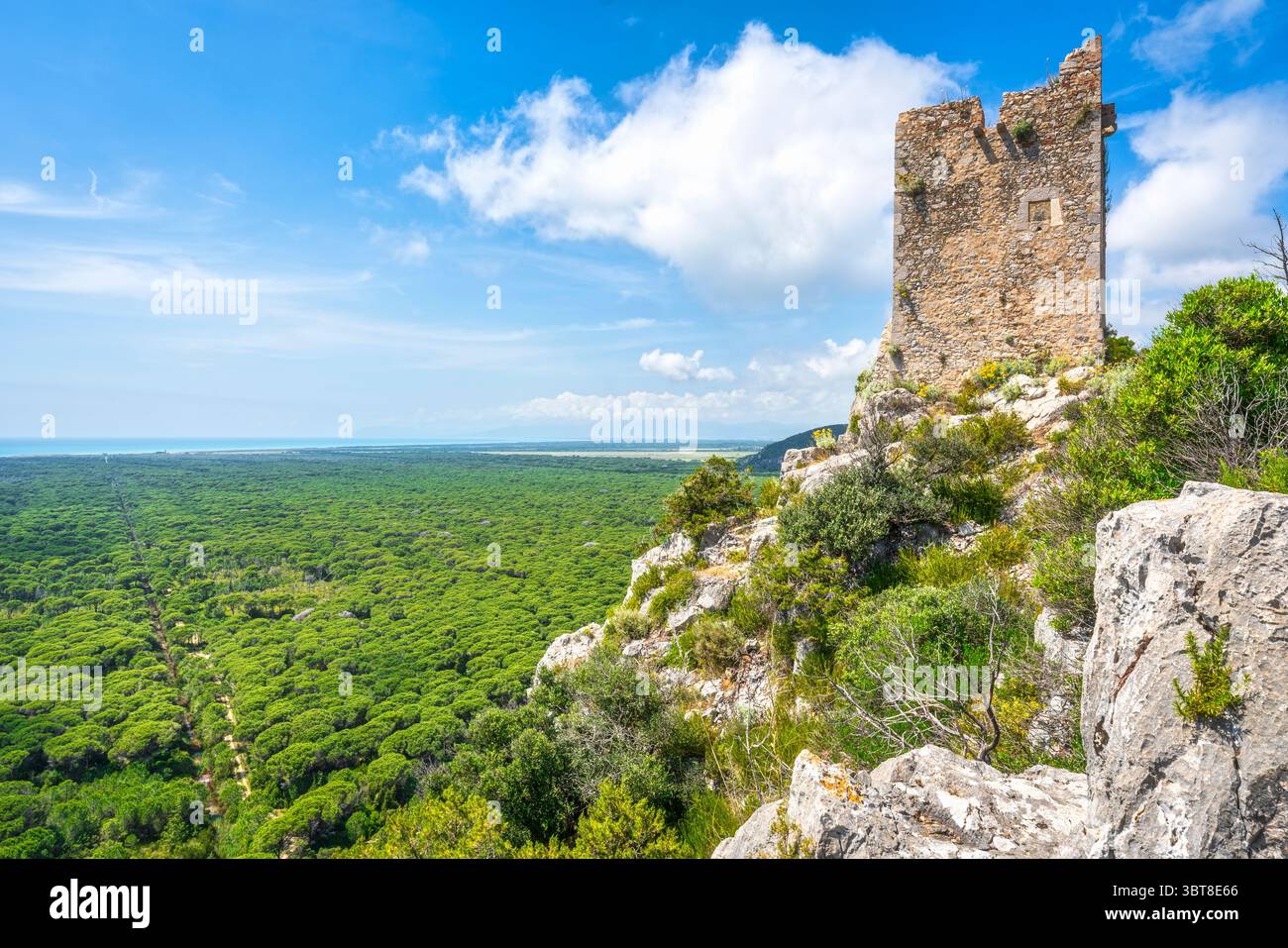 Torre di Castelmarino e vista panoramica del Parco della Maremma, noto anche come Parco dell'Uccellina. Pineta e mare sullo sfondo. Provincia di Grosseto Foto Stock