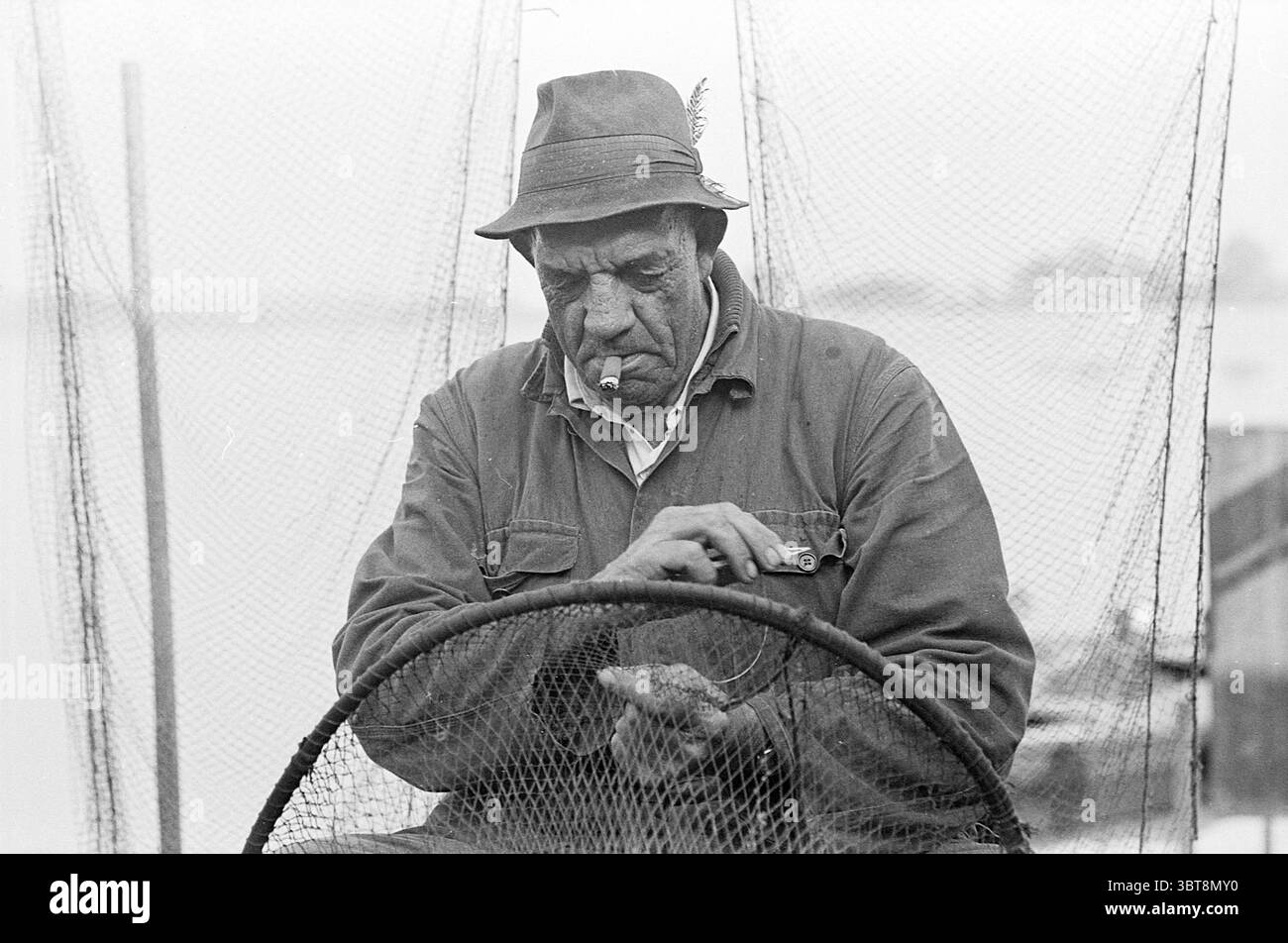 Relazione sulla pesca dell'anguilla relazione Spaarndam pesca e altri pescivendoli pesca, Whizgle News, Dutch Desk, Paesi Bassi, 1950 - 2000 il 29-09-1971. Questi sono gli elementi dell'immagine. In un ambiente tranquillo vicino all'acqua, un uomo anziano siede intensamente, circondato dalla tranquillità dei suoi dintorni. Indossa una giacca scura e robusta che suggerisce una vita trascorsa all'aperto e un cappello dalle sembianze morbide adornato da una singola piuma, suggerendo un legame con la natura. Il suo volto intemprato porta i segni del tempo e dell'esperienza, con linee profonde incise intorno agli occhi e alla bocca, che riflettono una vita di difficoltà e. Foto Stock