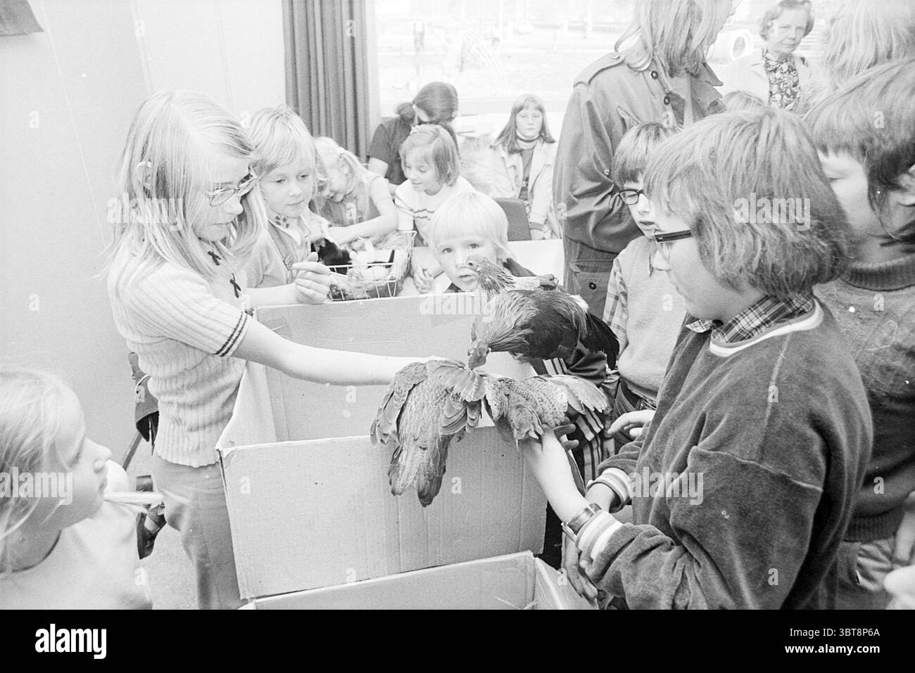 Concorso PET De Werf Heemskerk Animals, Whizgle News, Dutch Desk, Paesi Bassi, 1950 - 2000 il 06-10-1973. Questi sono gli argomenti nell'immagine. La scena cattura un vivace raduno di bambini e adulti impegnati in un'esperienza interattiva, probabilmente incentrata sugli animali. Un gruppo di bambini, che espone un'età varia dai bambini al pre-adolescente, sono riuniti da vicino, con i loro volti pieni di curiosità ed eccitazione. L'ambiente sembra essere al chiuso, illuminato da luce soffusa e naturale che si diffonde dalle grandi finestre, che suggerisce una giornata luminosa all'aperto. Le pareti sono un tono neutrale, contras Foto Stock