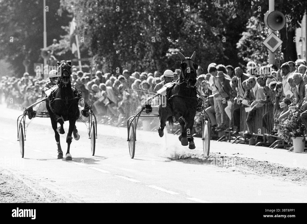 Gare di short track Lisse and Atmosphere Trotting Lisse, Whizgle News, Dutch Desk, Paesi Bassi, 1950 - 2000 on 25-09-1986. L'immagine mostra questi argomenti. La scena cattura una corsa di cavalli dinamica, con due cavalli che si sforzano contro le imbracature, i loro potenti muscoli visibili mentre si muovono lungo una pista polverosa. I cavalli, uno scuro ed elegante, e l'altro con un'ombra più chiara, mostrano un'intensa concentrazione, le loro narici che brillano e gli occhi puntati davanti. I ciclisti con un abbigliamento bianco e frizzante con caschi si siedono tranquillamente nei ciottoli dietro i cavalli, mentre le loro posture si inclinano in avanti per aumentare la velocità. Polveri Foto Stock