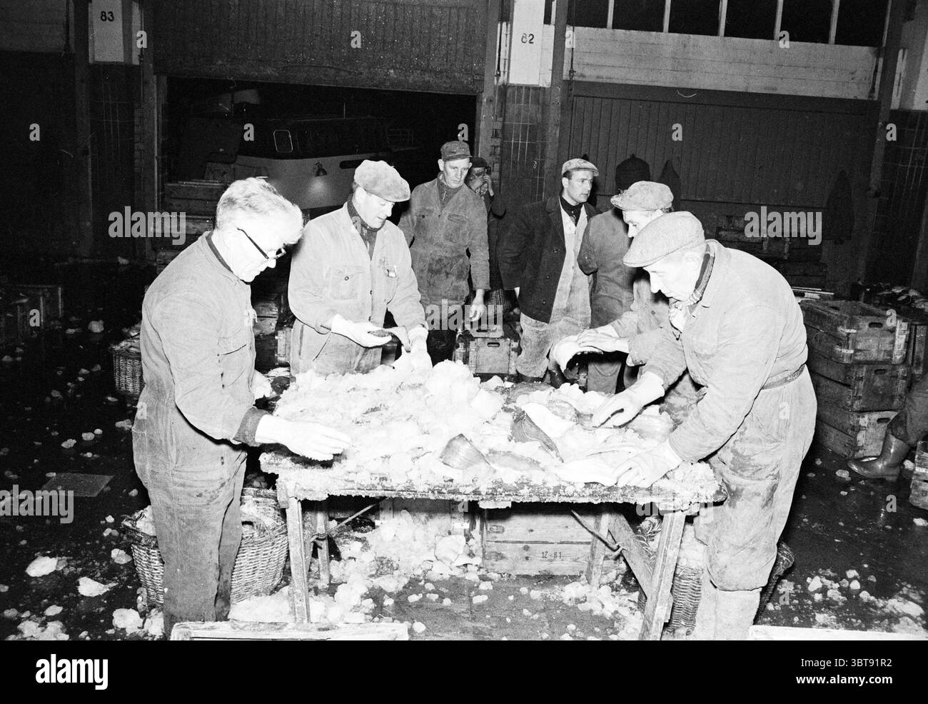 Navi nel porto di pesca di sera navi che scaricano la cernita di pesce e altri pescivendoli pesca, Whizgle News, Dutch Desk, Paesi Bassi, 1950 - 2000 il 04-12-1963. Questi sono gli elementi dell'immagine. La scena trasmette un'atmosfera indaffarata e laboriosa, ambientata in un magazzino poco illuminato. Un gruppo di uomini, vestiti con abiti robusti e pratici, indicativi di duro lavoro, sono riuniti intorno a un grande tavolo di legno. Il loro abbigliamento, con cappelli e camici da lavoro, suggerisce che sono impegnati in un compito fisicamente impegnativo. La tavola è ricoperta da uno spesso strato di ghiaccio, probabilmente ottenuto da pesci appena trasformati, Foto Stock