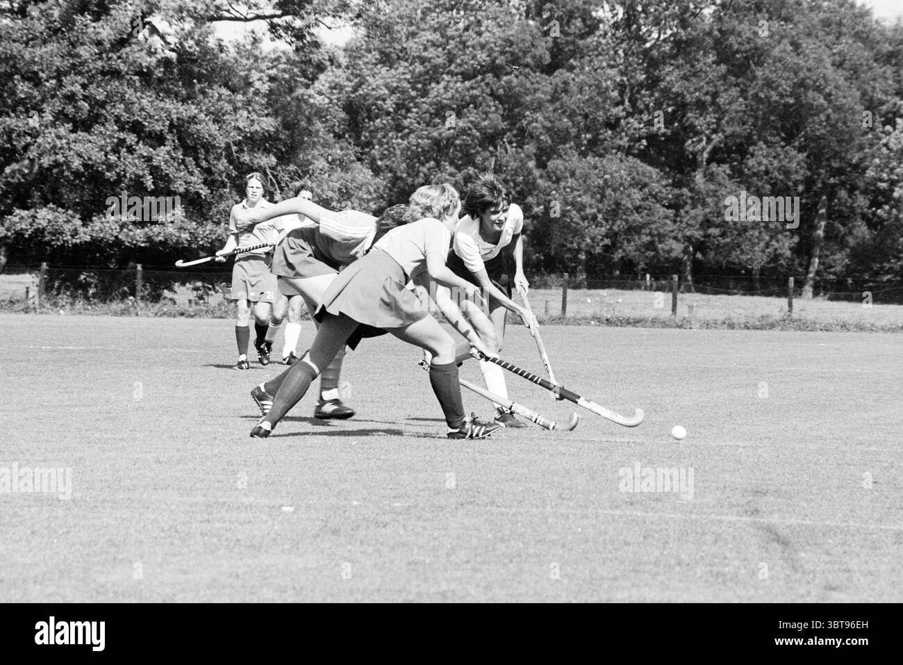 Hockey Bloemendaal- Amsterdam Hockey, Whizgle News, Dutch Desk, Paesi Bassi, 1950 - 2000 il 13-09-1981. L'immagine include questi argomenti. In un ambiente vivace all'aperto, un gruppo di atleti è impegnato in una partita di hockey su prato. La lussureggiante erba verde sotto di loro contrasta con la luce solare che filtra attraverso le foglie degli alberi circostanti, creando un'atmosfera vivace. Due giocatori, che indossano gonne e maglie abbinate, si trovano nel bel mezzo di un gioco competitivo, accovacciati in basso mentre manovrano abilmente i bastoni per controllare la palla. I loro volti riflettono determinazione e concentrazione. Un pla Foto Stock