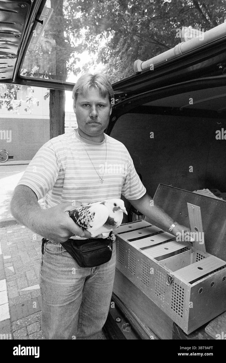 Beccato piccione Schalkwijk Haarlem Paesi Bassi, Whizgle News, Dutch Desk, Paesi Bassi, 1950 - 2000 il 04-07-1994. L'immagine contiene questi argomenti. In un ambiente all'aperto vivace, un uomo si trova accanto a un furgone aperto, che ha la porta posteriore sollevata per rivelare un vano portaoggetti. Si trova leggermente a sinistra, trasudando un senso di orgoglio e concentrazione. L'uomo ha i capelli corti e chiari e sfoggia una camicia a righe chiare abbinata a jeans denim. Un pacchetto fanny nero si appoggia intorno alla sua vita, conferendo un tocco pratico al suo aspetto. Nelle sue mani, ha un piccione bianco e nero che disegna Foto Stock