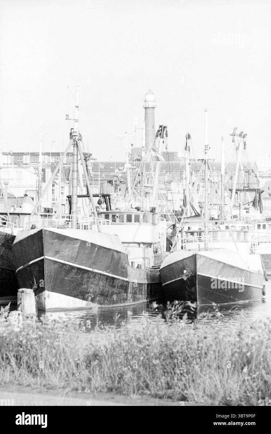 Navi da pesca nel porto di IJmuiden IJmuiden Paesi Bassi, Whizgle News, Dutch Desk, Paesi Bassi, 1950 - 2000 il 21-08-1991. Questi argomenti sono mostrati nell'immagine. La scena raffigura un tranquillo porto pieno di barche da pesca, i loro scafi scuri contrastano con le acque luminose e riflettenti del porto. Le barche sono strettamente raggruppate, con alcune legate l'una accanto all'altra, mentre altre sembrano ormeggiate in acqua. Sullo sfondo, le strutture sorgono lungo la riva, probabilmente magazzini o officine legate all'industria della pesca, le cui sagome sono delineate dolcemente contro il cielo. Una tal Foto Stock