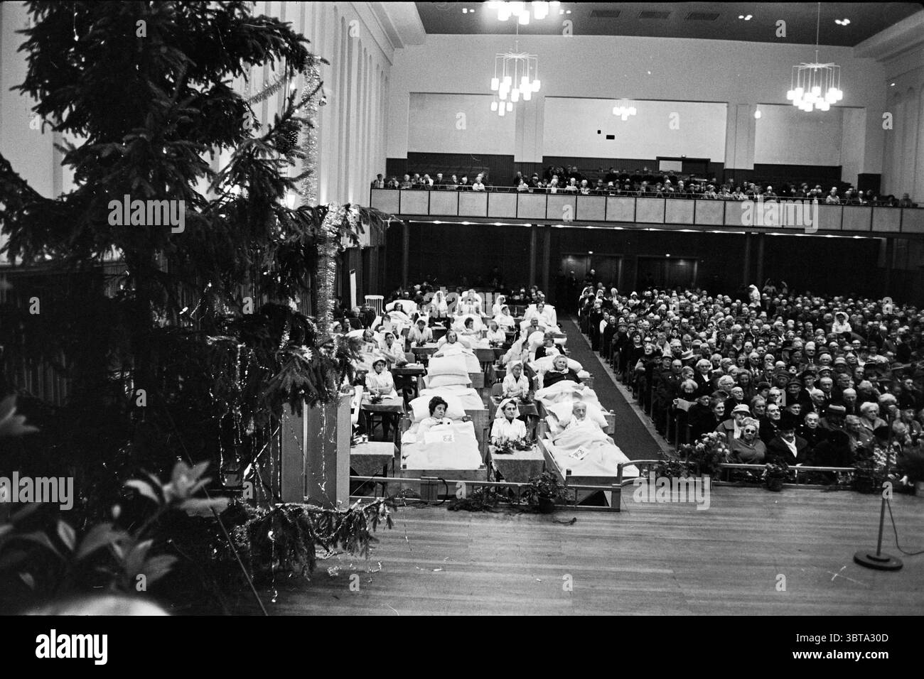 Concertgebouw Christmas Celebration Haarlem Lange Begijnestraat Paesi Bassi, Whizgle News, Dutch Desk, Paesi Bassi, 1950 - 2000 il 22-12-1962. L'immagine include questi argomenti. La scena cattura un grande auditorium pieno di attività. In primo piano, una serie di letti disposti in modo ordinato allineano il palco, dove i pazienti sono posizionati, mostrando calma e attenzione. Ogni letto e' adornato con fresche lenzuola bianche, in contrasto con le sfumature piu' profonde della camera. Sullo sfondo, un pubblico consistente riempie i posti a sedere, mostrando una folla diversificata. I partecipanti sono vestiti in un mix di formali Foto Stock