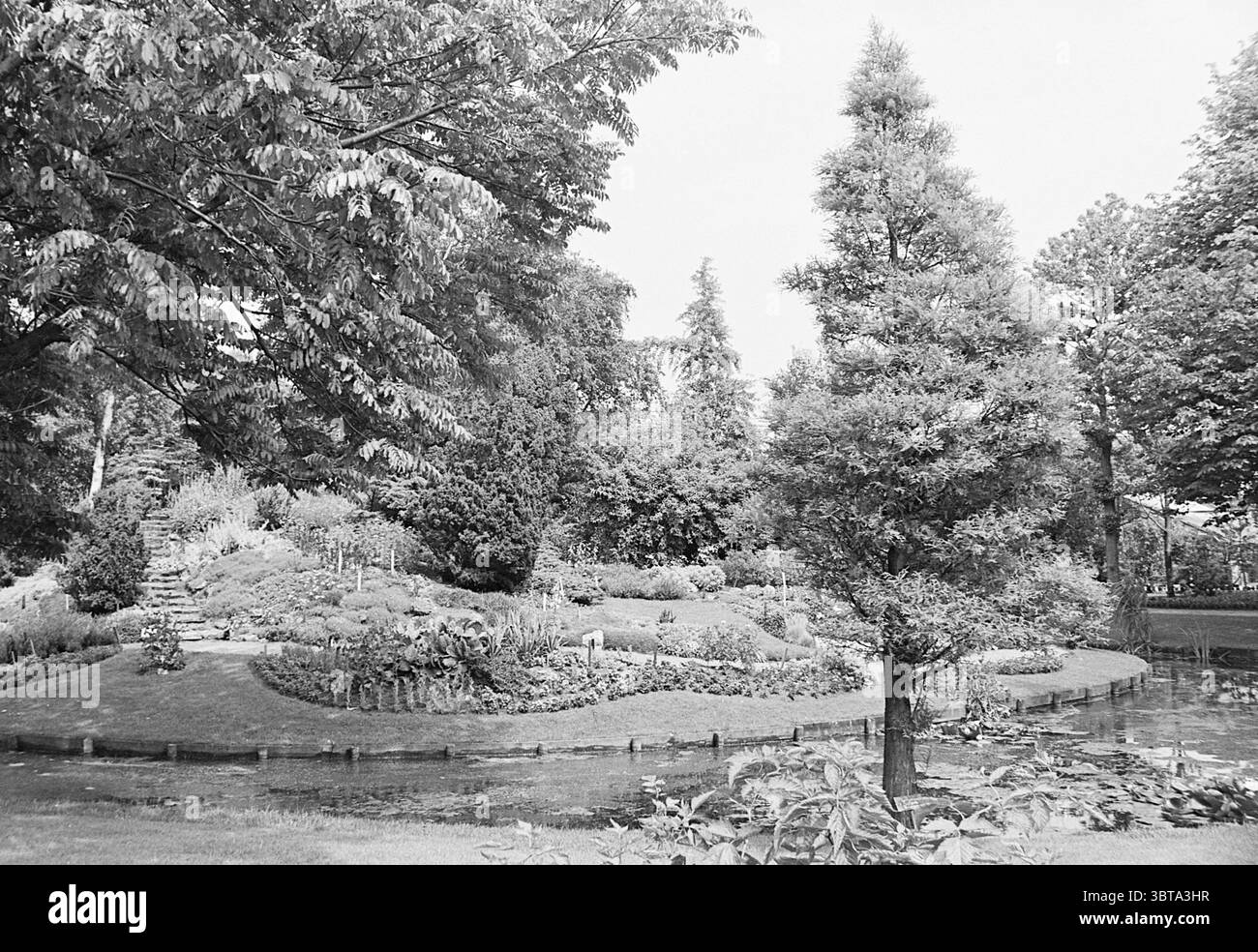 Varie foto vivaio urbano vivaio urbano giardino vivaio urbano, Whizgle News, Dutch Desk, Paesi Bassi, 1950 - 2000 il 14-07-1964. Questi sono gli argomenti nell'immagine. La scena raffigura un tranquillo giardino paesaggistico, meticolosamente progettato con una varietà di vegetazione. La composizione presenta un percorso leggermente curvo che conduce attraverso una lussureggiante distesa di fogliame ben mantenuto e aiuole di fiori. Prominenti sono le varie sfumature di verde, fornite da alberi alti e un denso assortimento di cespugli, che creano un senso di profondità e strati naturali. Gli alberi mostrano una varietà di texture nelle loro foglie, alcuni broa Foto Stock