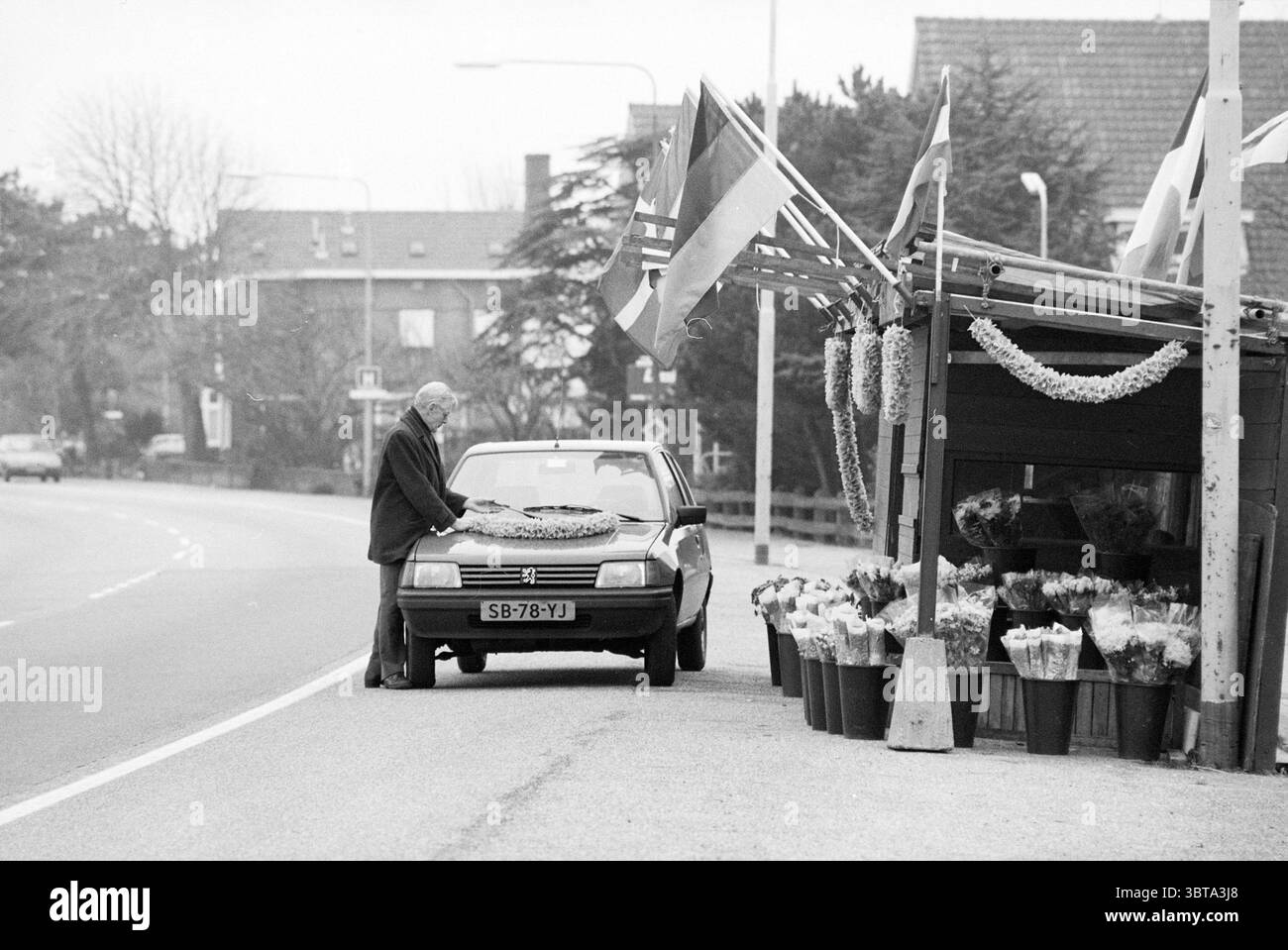 Stand di fiori Hillegom Flowers and Flower Girls Hillegom, Whizgle News, Dutch Desk, Paesi Bassi, 1950 - 2000 il 21-03-1988. Questi sono gli elementi dell'immagine. La scena cattura un ambiente lungo la strada caratterizzato da un'atmosfera cupa e tranquilla. Un cielo grigio si staglia sopra la testa, indicativo di un giorno coperto, contribuendo a una tavolozza di colori attenuata e desaturata. Sul lato sinistro, un uomo anziano è visto in piedi accanto a un'auto parcheggiata, che è un modello modesto e vecchio con una silhouette elegante. Sembra essere impegnato in un compito che comporta un grande arrangiamento floreale. A destra, un caratteristico stallo traboccante di f Foto Stock