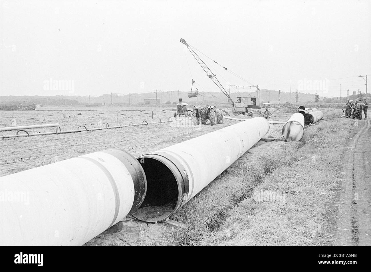 Gasdotto Santpoort Works, Whizgle News, Dutch Desk, Paesi Bassi, 1950 - 2000 il 06-08-1968. L'immagine include questi argomenti. La scena raffigura un ampio cantiere, dominato da grandi tubi cilindrici che poggiano a terra. Questi tubi hanno una superficie bianca lucida con bande visibili alle estremità, a indicare che sono stati fabbricati di recente e pronti per l'installazione. Il terreno è un tono di terra tenue, prevalentemente marrone con macchie d'erba intervallate, dando la sensazione di un progetto in corso in un terreno piuttosto accidentato. Sullo sfondo, una gru è alta, posizionata a t Foto Stock