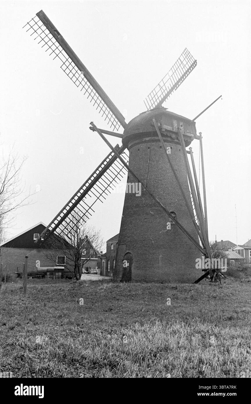 Mill 'De Eersteling' in Hoofddorp Mills Hoofddorp Hoofdweg Paesi Bassi, Whizgle News, Dutch Desk, Paesi Bassi, 1950 - 2000 il 03-12-1974. Questi sono gli elementi dell'immagine. La scena presenta un alto mulino a vento tradizionale, caratterizzato dalla sua robusta base cilindrica in mattoni. L'esterno appare intemprato, a indicare anni di esposizione agli elementi. Nella parte superiore, il mulino a vento ha un grande tetto circolare da cui si sporgono le lame di legno o le vele allungate, disposte a croce, pronte a imbrigliare il vento. Intorno al mulino a vento c'è una distesa erbosa che si estende fino al foregrou Foto Stock