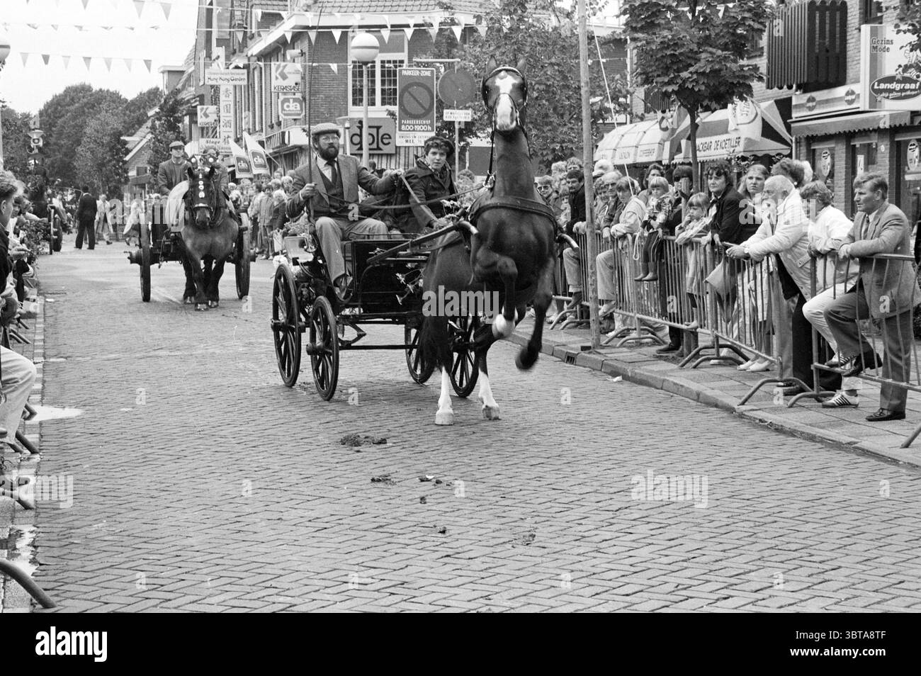 Centro di cucitura ad anello Noordwijkerhout cucitura ad anello Noordwijkerhout, Whizgle News, Dutch Desk, Paesi Bassi, 1950 - 2000 il 05-09-1985. Questi sono gli elementi dell'immagine. La scena raffigura una vivace festa di strada con un focus su una carrozza trainata da cavalli in movimento. Due cavalli elegantemente imbrigliati percorrono una strada acciottolata, il cavallo anteriore che solleva le gambe anteriori, evocando un senso di eccitazione ed energia. Nella carrozza sono visibili due persone; una tiene le redini, mentre l'altra sembra essere impegnata con la folla, magari sventolando o sorridendo. Fiancheggiando entrambi i lati della strada, a Foto Stock