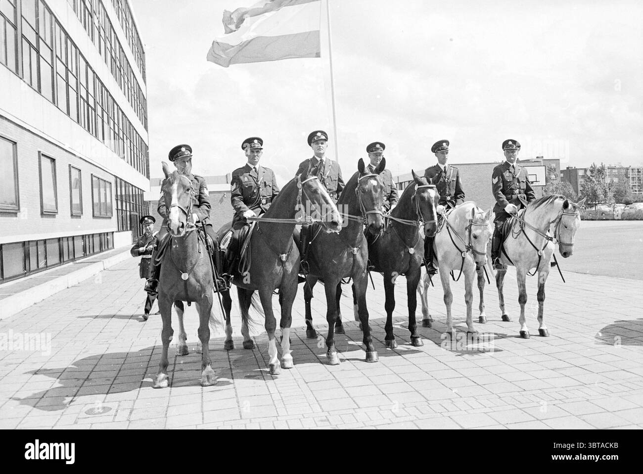 Addio sindaco dei sindaci della polizia, Whizgle News, Dutch Desk, Paesi Bassi, 1950 - 2000 il 16-05-1969. Questi argomenti vengono visualizzati nell'immagine. Sulla scena, un gruppo di sei agenti siede a cavallo, formando una fila prominente in primo piano. Ogni ufficiale è vestito con un'uniforme scura ornata da distintivi, e i loro cappelli riflettono un senso di autorità. I cavalli variano di colore, con un mix di marrone scuro, neri e bianchi, aggiungendo un dinamismo naturale all'assieme. Lo sfondo consiste in un edificio moderno caratterizzato da grandi finestre che brillano alla luce del giorno. Un'asta di bandiera si erge alto nelle vicinanze Foto Stock