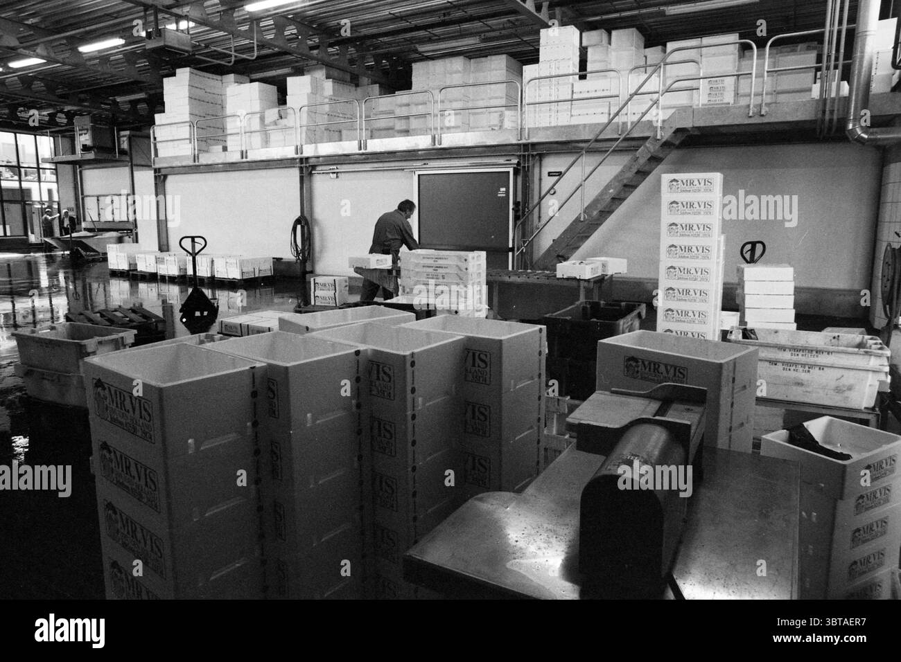 Vis IJmuiden IJmuiden Paesi Bassi, Whizgle News, Dutch Desk, Paesi Bassi, 1950 - 2000 il 10-04-1991. L'immagine mostra questi argomenti. La scena presenta un ambiente spazioso e industriale caratterizzato da un'atmosfera organizzata ma trafficata. In un angolo, un lavoratore, vestito con un abbigliamento pratico, è concentrato su un compito, possibilmente smistare o ispezionare gli oggetti nell'area. Il lavoratore appare assorbito dal loro lavoro, contribuendo all'umore industrioso dello spazio. Intorno al lavoratore ci sono numerose grandi casse impilate che sono prevalentemente bianche, il che suggerisce un senso di cl Foto Stock
