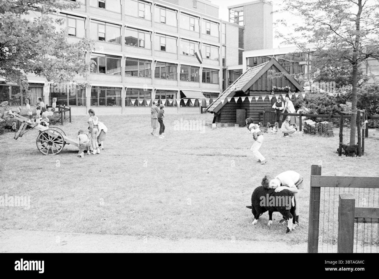 Zoo di animali domestici Three House Petting zoo Driehuis, Whizgle News, Dutch Desk, Paesi Bassi, 1950 - 2000 il 21-07-1982. L'immagine mostra questi argomenti. La scena cattura un ambiente vivace all'aperto in un parco giochi o parco, caratterizzato da una combinazione di erba ed elementi strutturati. I bambini sono prominenti in questo ambiente, impegnandosi in varie attività che trasmettono gioia e giocosità. Verso sinistra, alcuni bambini possono giocare con un carrello di legno, le loro espressioni mostrano emozioni mentre si radunano intorno ad esso. Nelle vicinanze, altri sono impegnati in un inseguimento giocoso, i loro movimenti dinamici AN Foto Stock