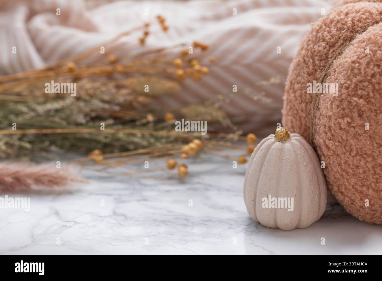 Elegante sfondo del giorno del Ringraziamento con mini zucca bianca cremosa, decorazioni testurizzate e accenti floreali essiccati in tonalità neutre Foto Stock