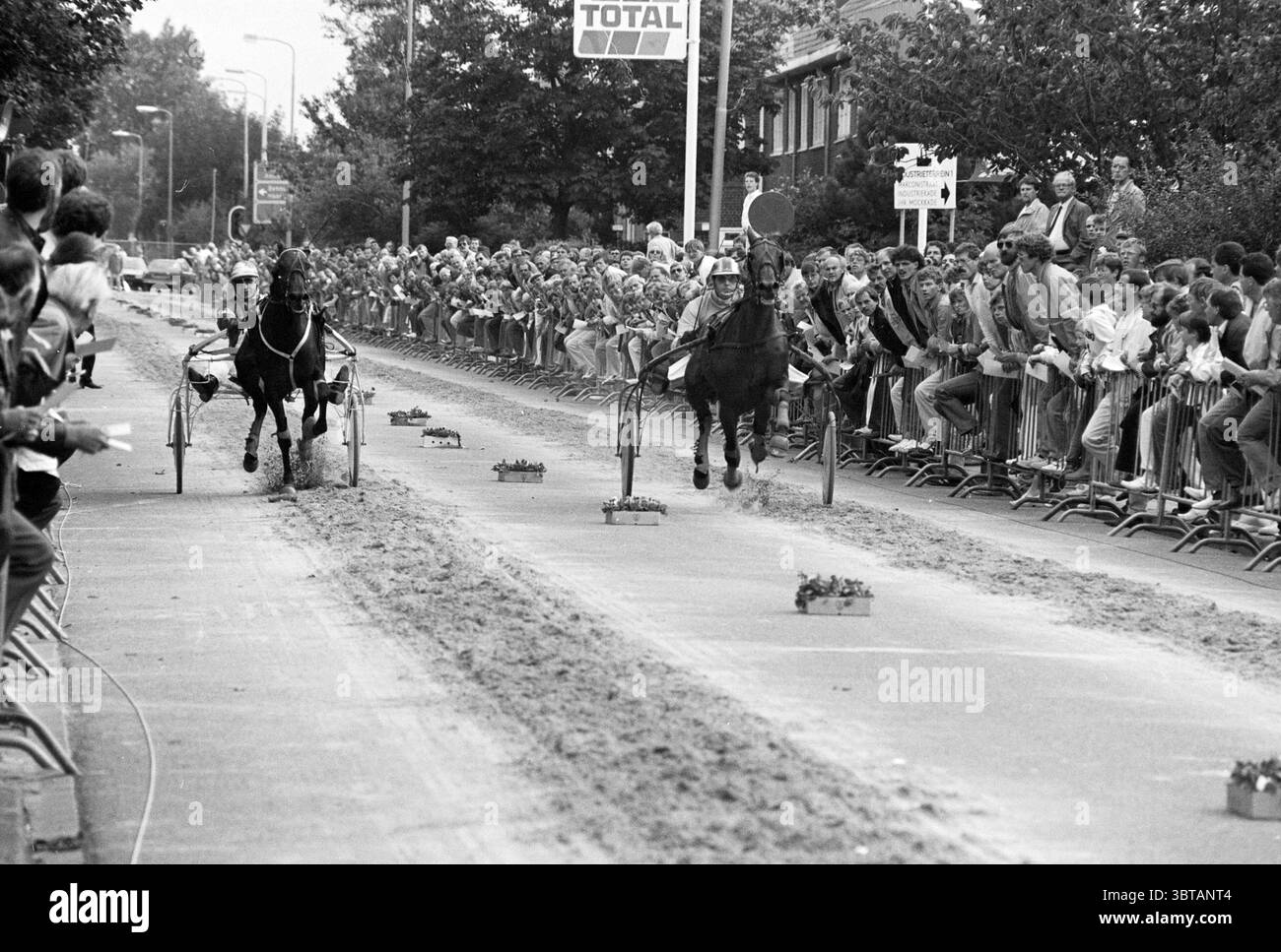 Short track trotting Hillegom Trotting Hillegom, Whizgle News, Dutch Desk, Paesi Bassi, 1950 - 2000 il 13-09-1985. L'immagine mostra questi argomenti. La scena cattura un emozionante evento di corse di cavalli, probabilmente in un ambiente urbano, in cui due cavalli imbrattati si sforzano di prendere il comando lungo una pista sabbiosa. I cavalli, con i loro fantini, mostrano un senso di urgenza e determinazione, i loro zoccoli che sollevano piccole nuvole di polvere dalla superficie sabbiosa. Su entrambi i lati della pista si radunano una folla entusiasta, con i loro volti pieni di attesa ed eccitazione. Gli spettatori sono vestiti con un va Foto Stock