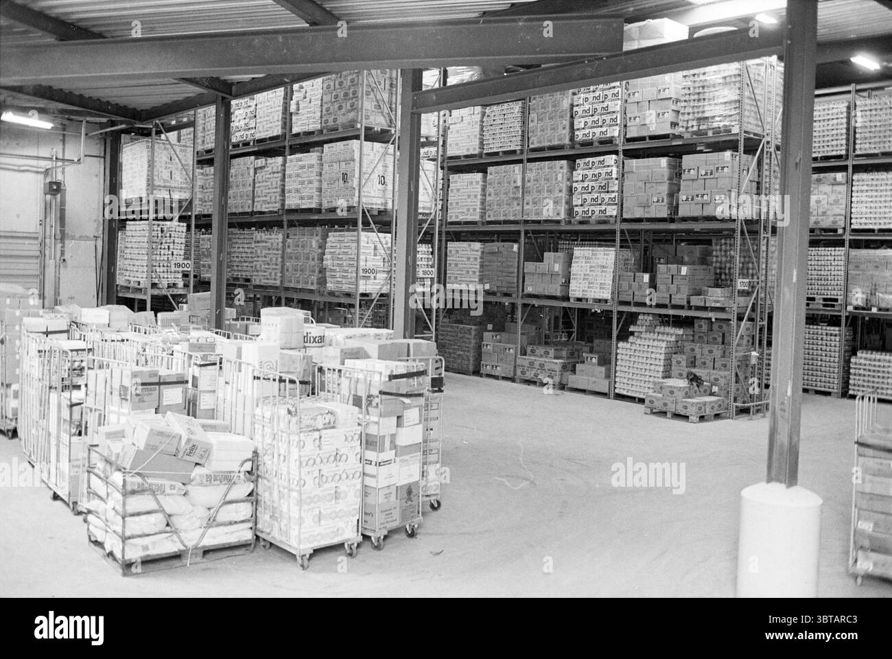 Centro di distribuzione Vomar IJmuiden negozi e chioschi IJmuiden Paesi Bassi, Whizgle News, Dutch Desk, Paesi Bassi, 1950 - 2000 al 26-03-1981. Questi argomenti vengono visualizzati nell'immagine. La scena rivela un ambiente di magazzino spazioso, caratterizzato da alti soffitti e ampie corsie. Il pavimento è in cemento ammorbidito, leggermente usurato, che suggerisce un uso intensivo nel tempo. Gli scaffali si innalzano drasticamente lungo le pareti, densamente pieni di varie scatole di cartone impilate metodicamente, organizzate per dimensione e tipo. Le scatole sono principalmente in tonalità di marrone chiaro e beige, molte delle quali mostrano etichette sbiadite che h Foto Stock